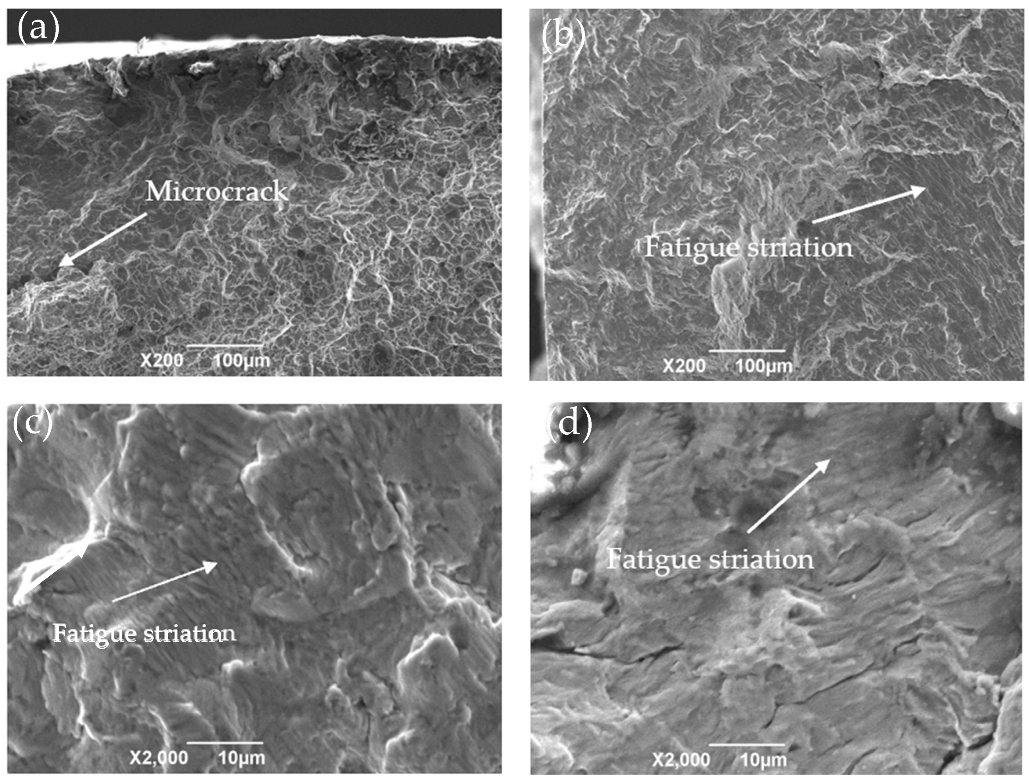 Crystals 15 00224 g014a Crystals 15 00224 g014a