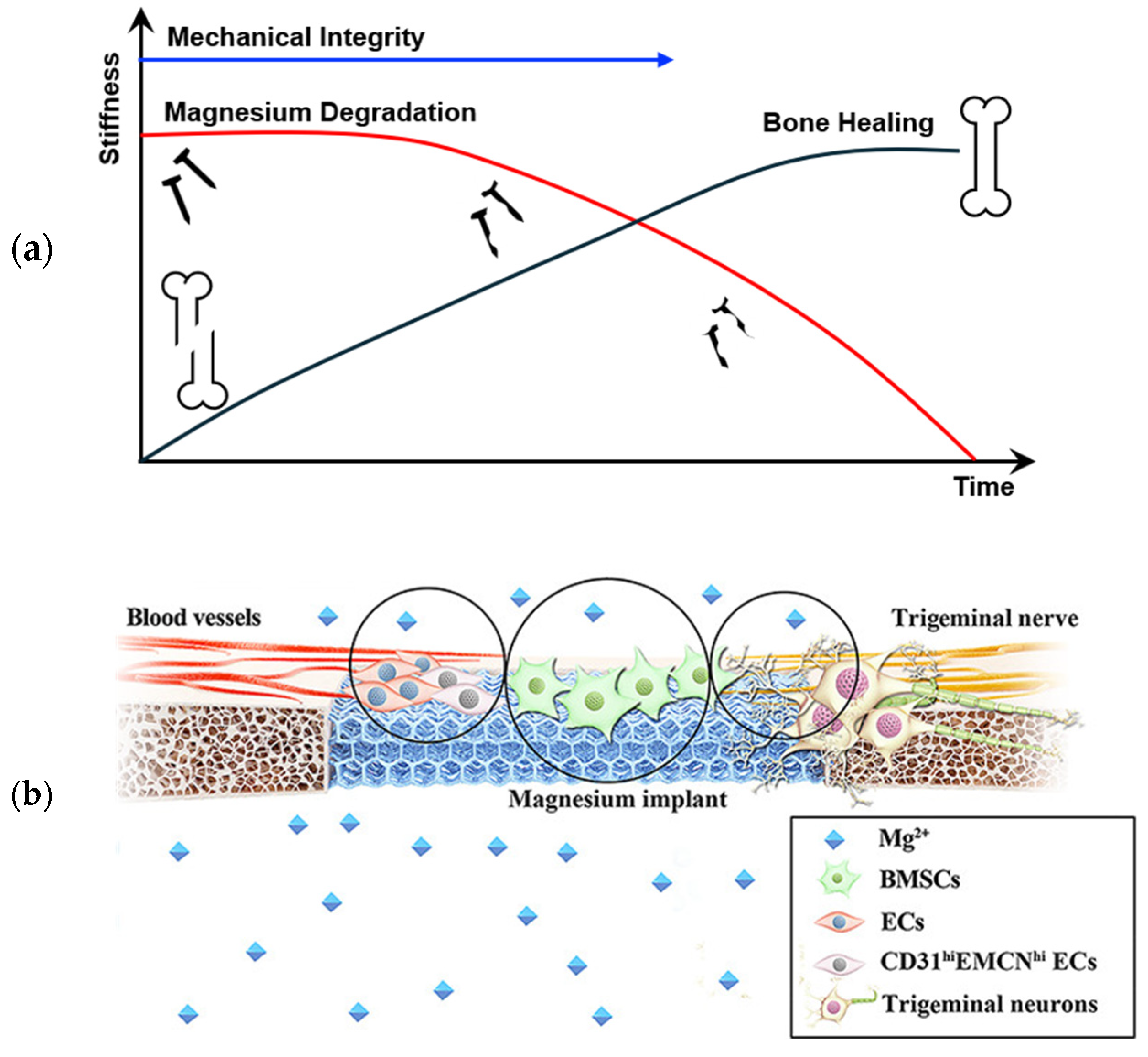 Crystals 15 00256 g001