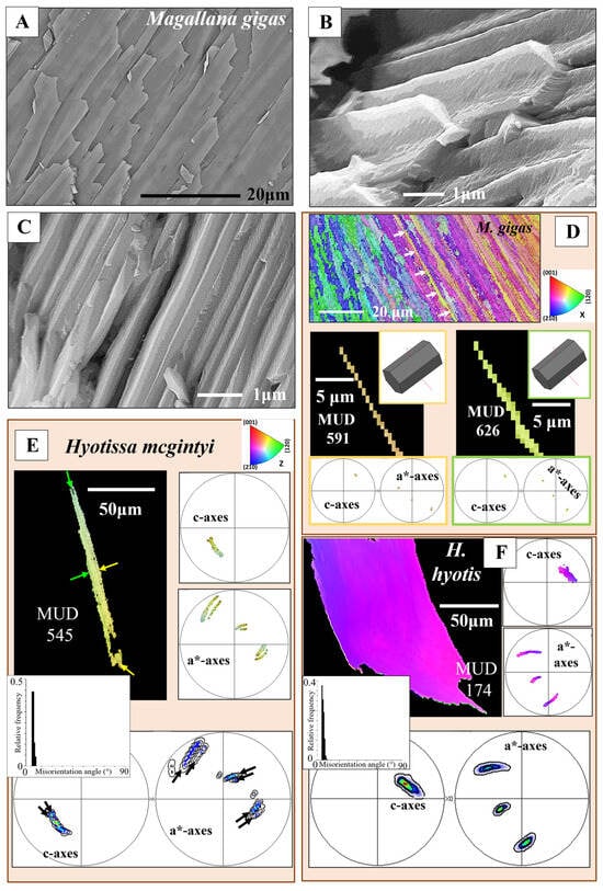 Crystals 15 00286 g004