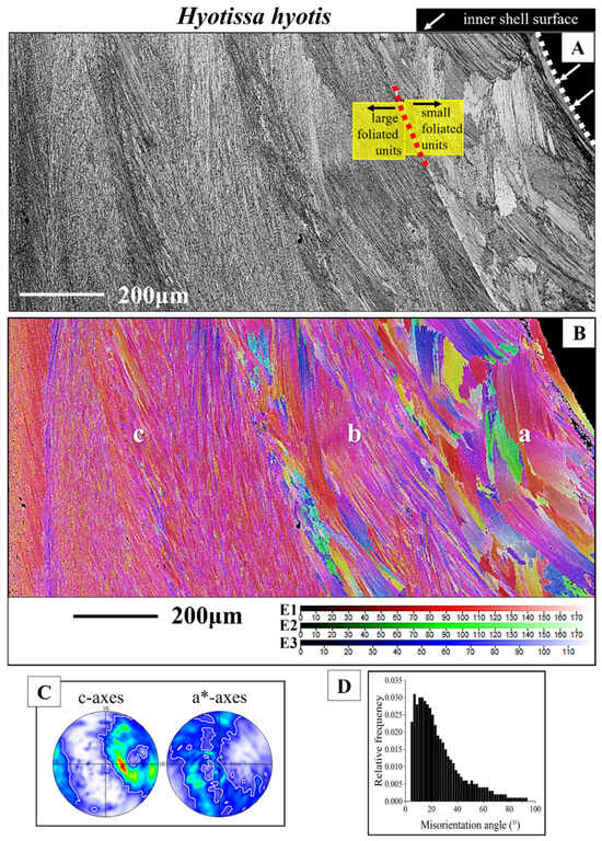 Crystals 15 00286 g005