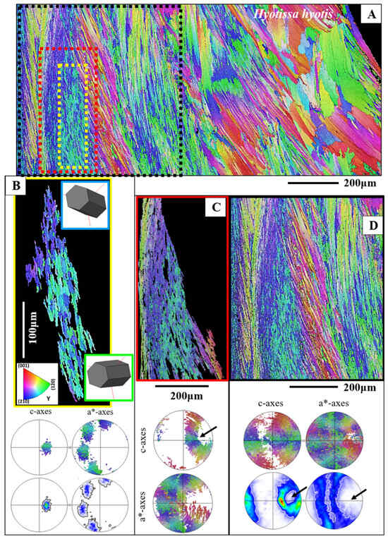 Crystals 15 00286 g006