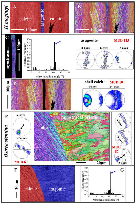 Crystals 15 00286 g007