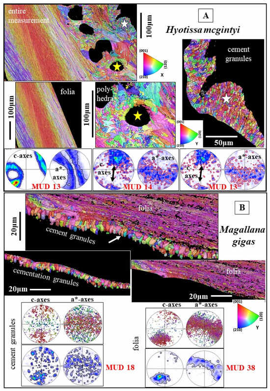 Crystals 15 00286 g008