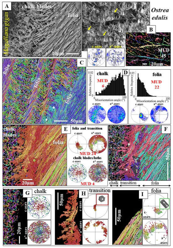Crystals 15 00286 g009