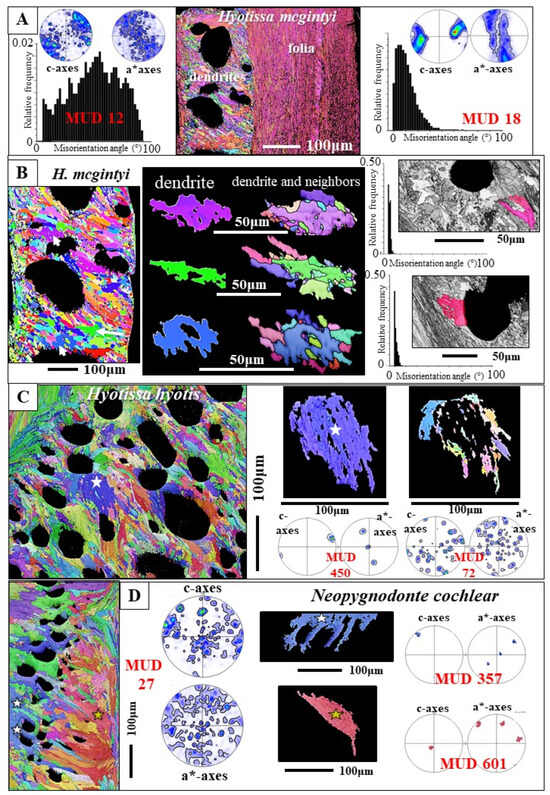 Crystals 15 00286 g010