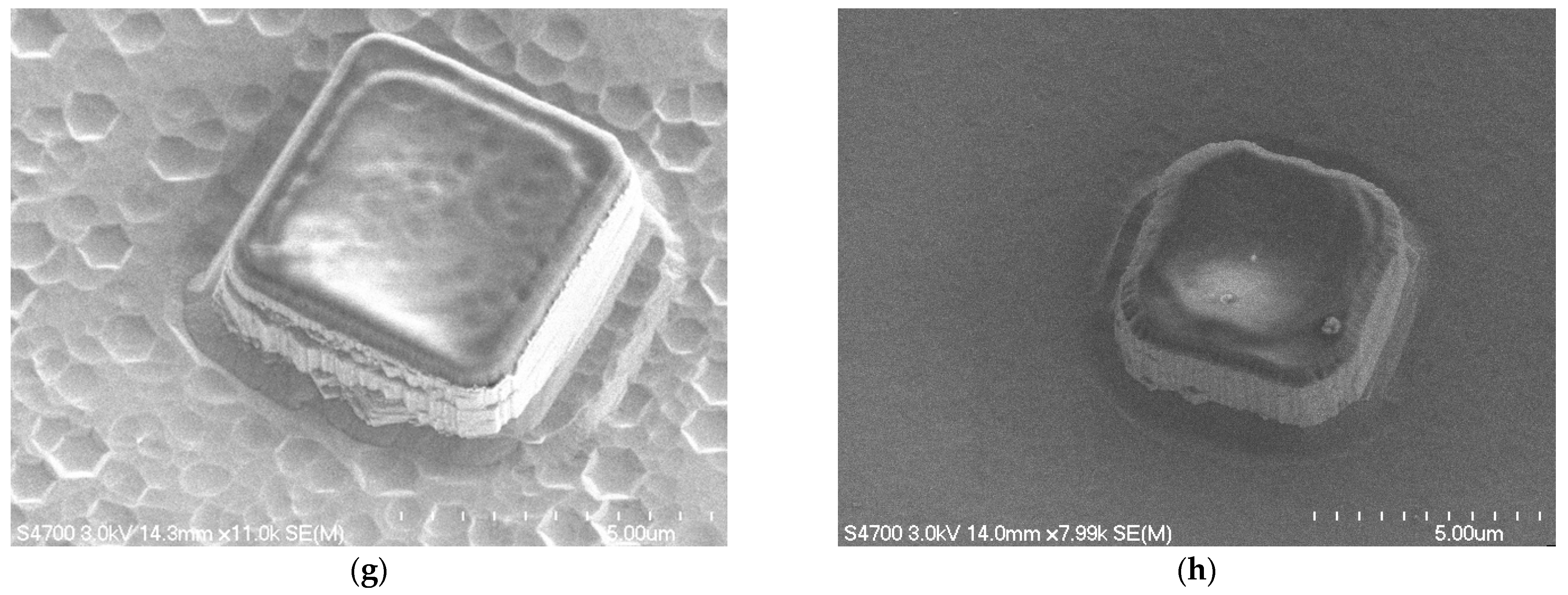 Crystals 15 00288 g004b