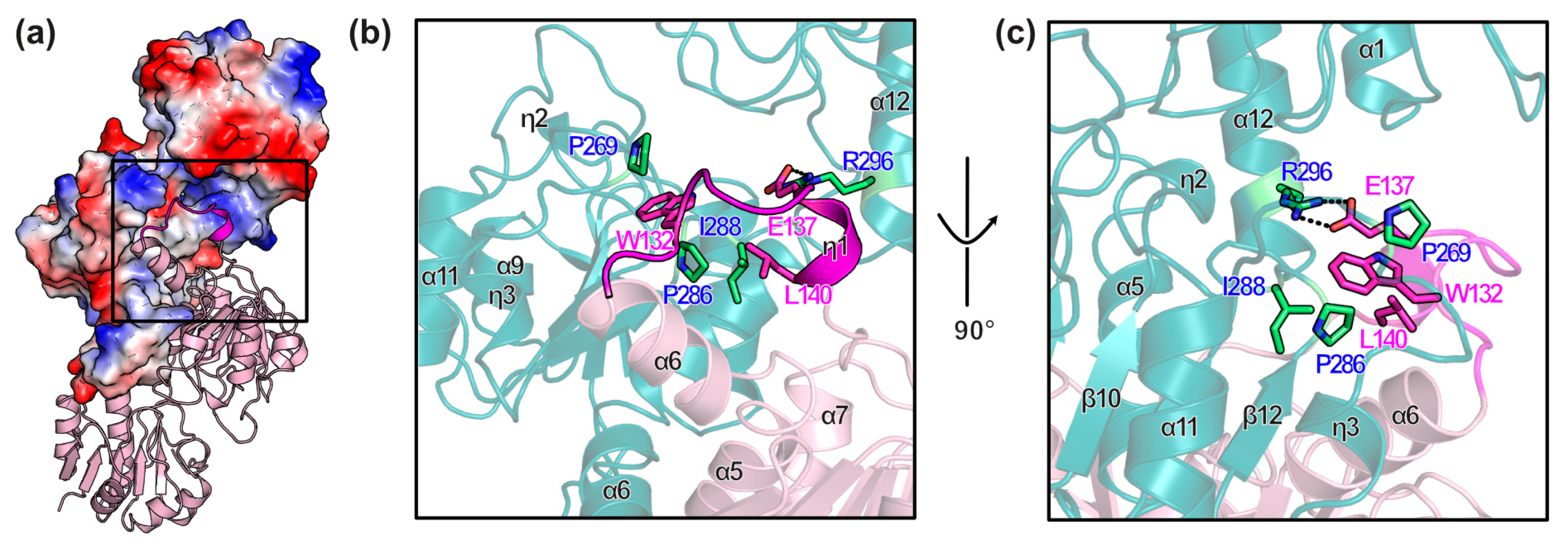 Crystals 15 00298 g006