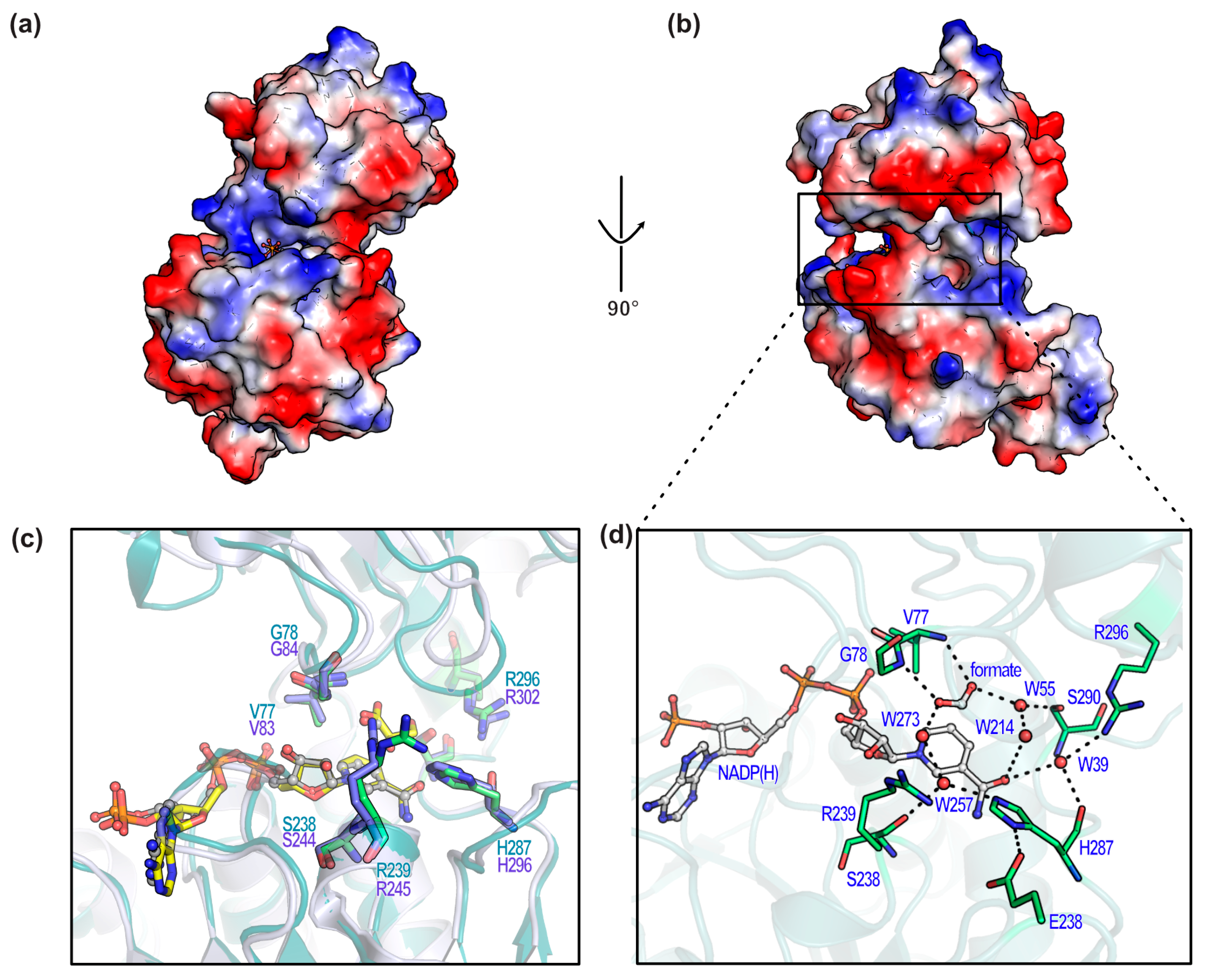 Crystals 15 00298 g010