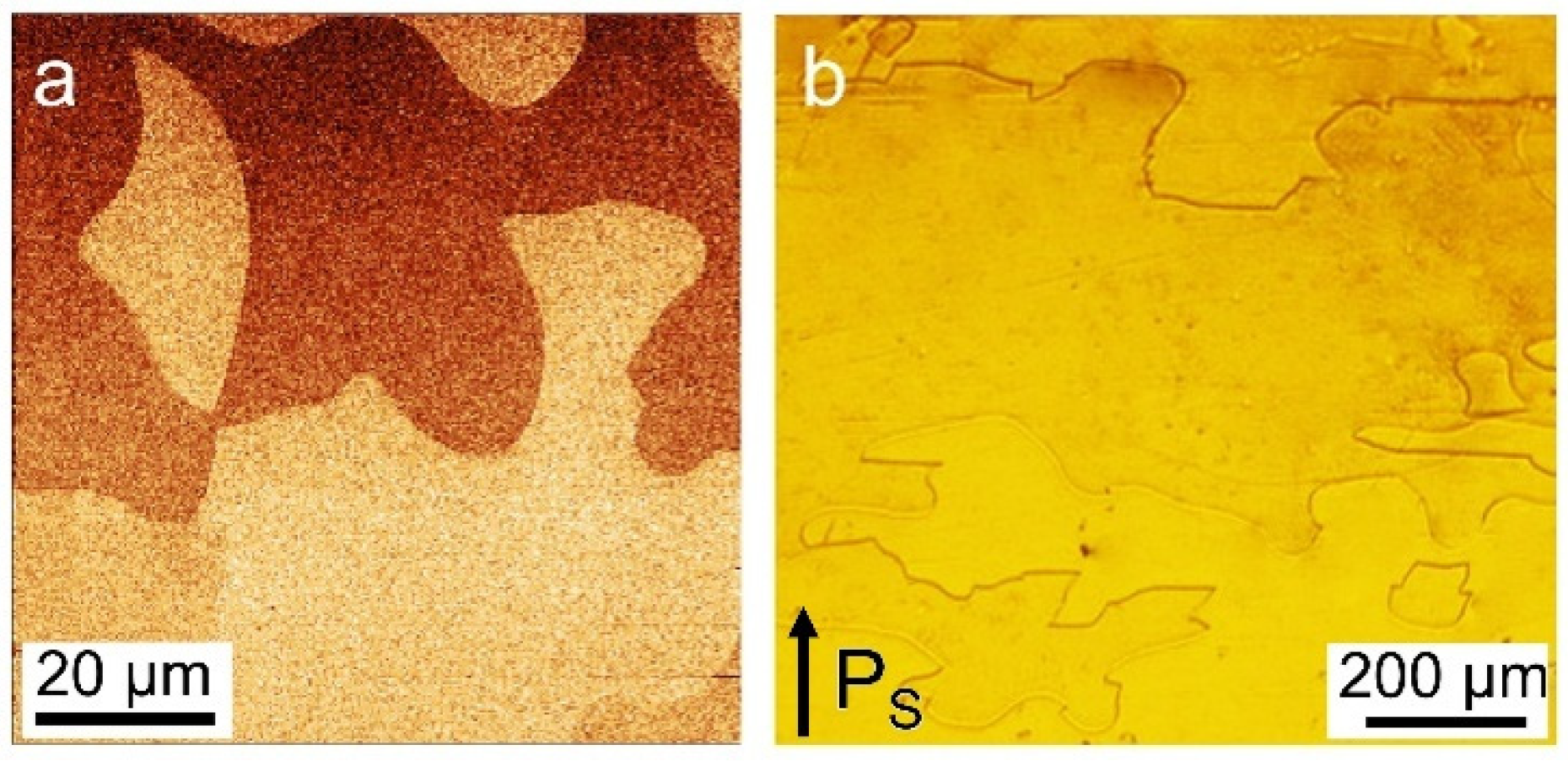 Crystals 15 00315 g001 Crystals 15 00315 g001