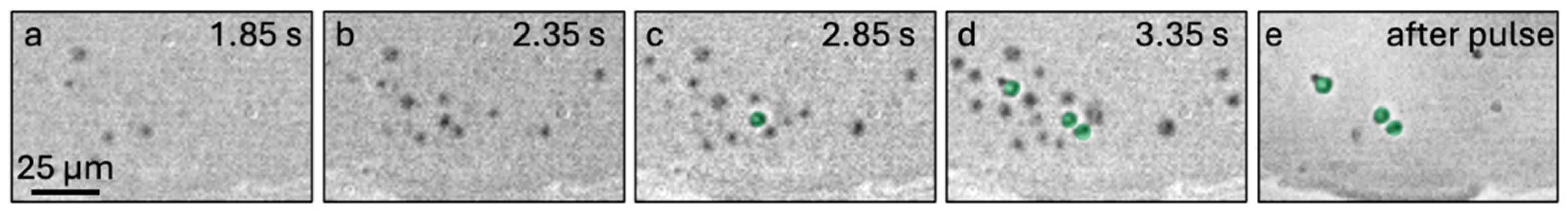 Crystals 15 00315 g003 Crystals 15 00315 g003