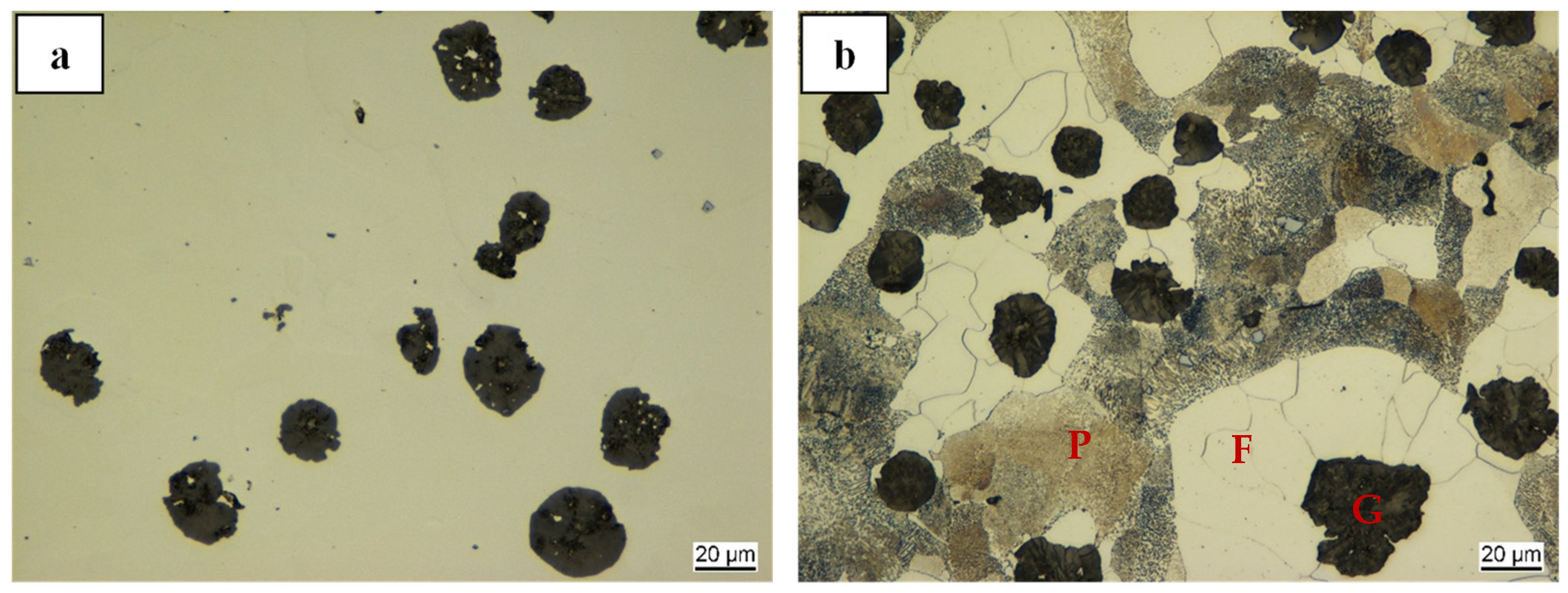 Crystals 15 00347 g004 Crystals 15 00347 g004
