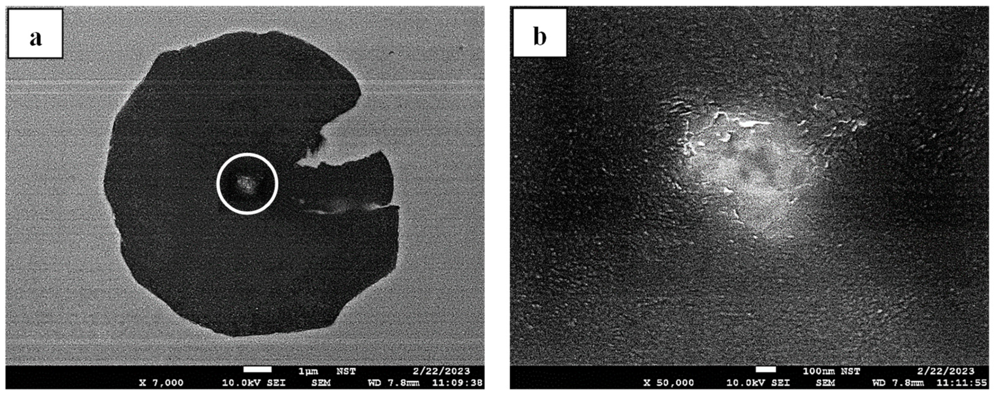 Crystals 15 00347 g008 Crystals 15 00347 g008