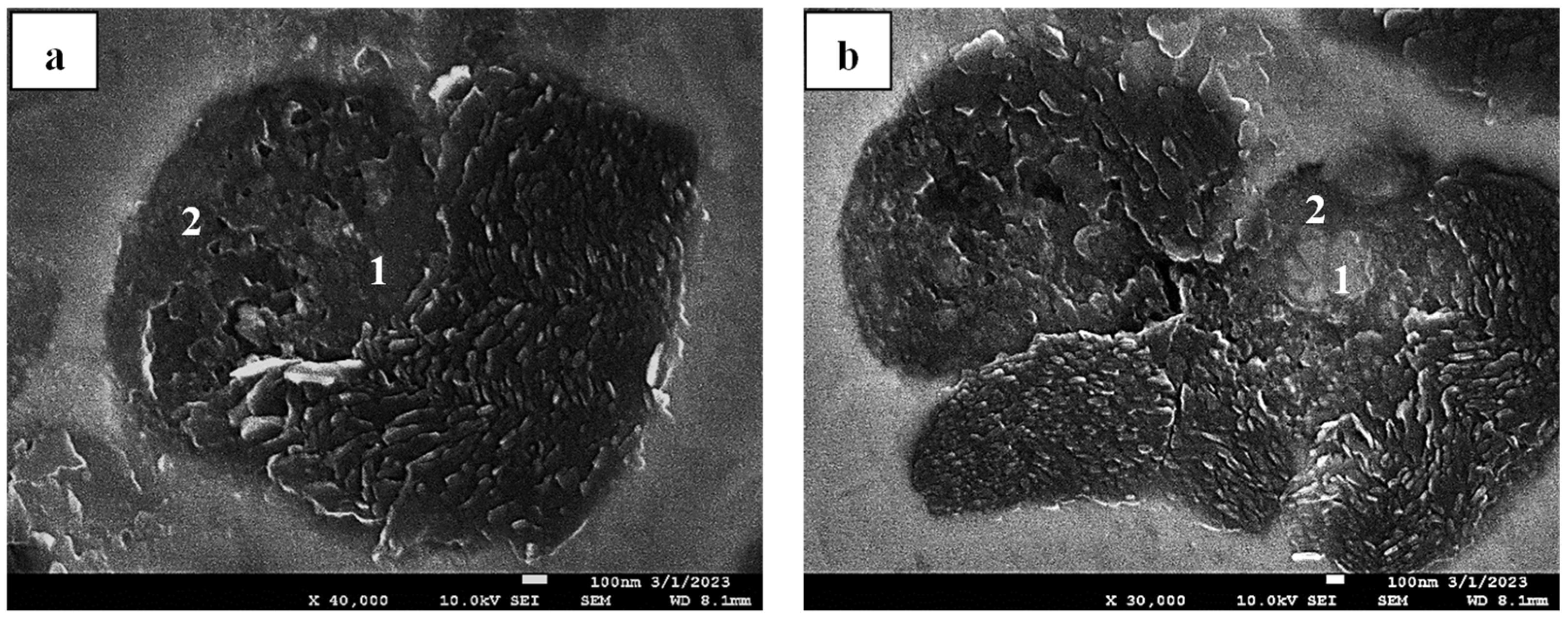 Crystals 15 00347 g009 Crystals 15 00347 g009