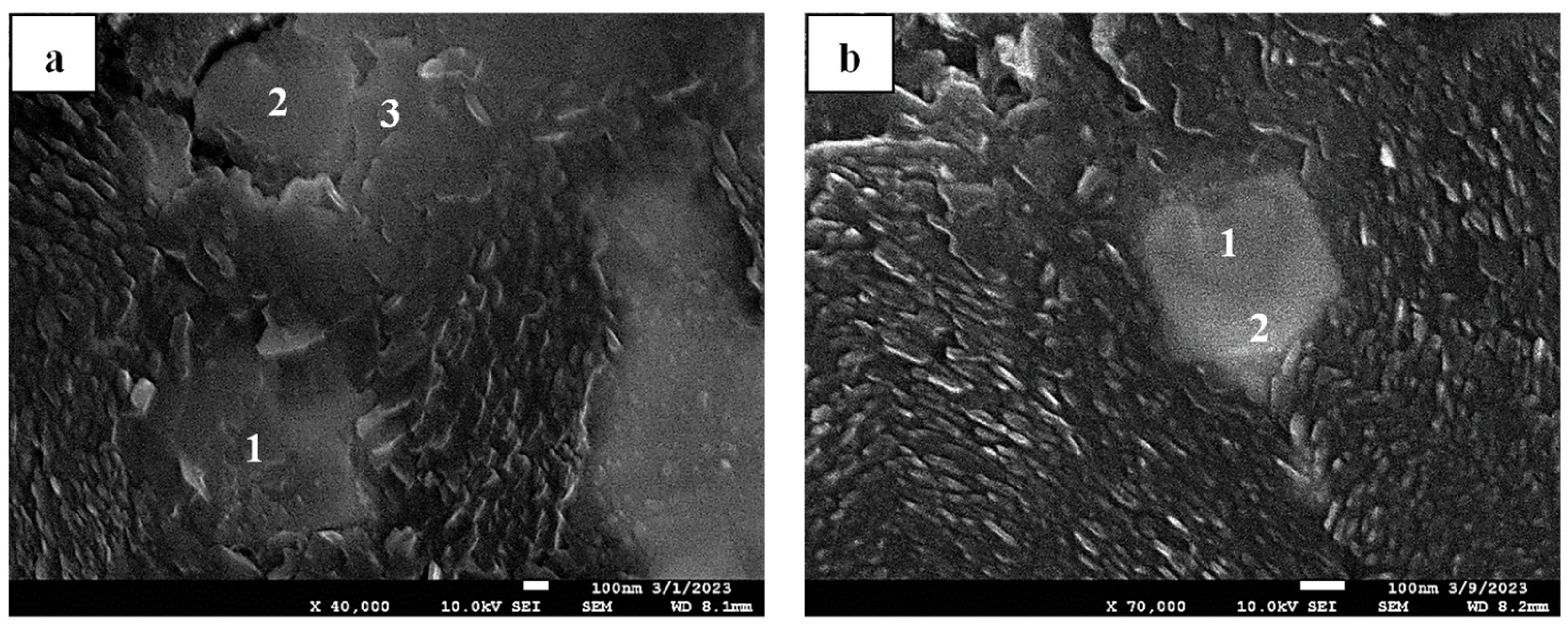 Crystals 15 00347 g010 Crystals 15 00347 g010