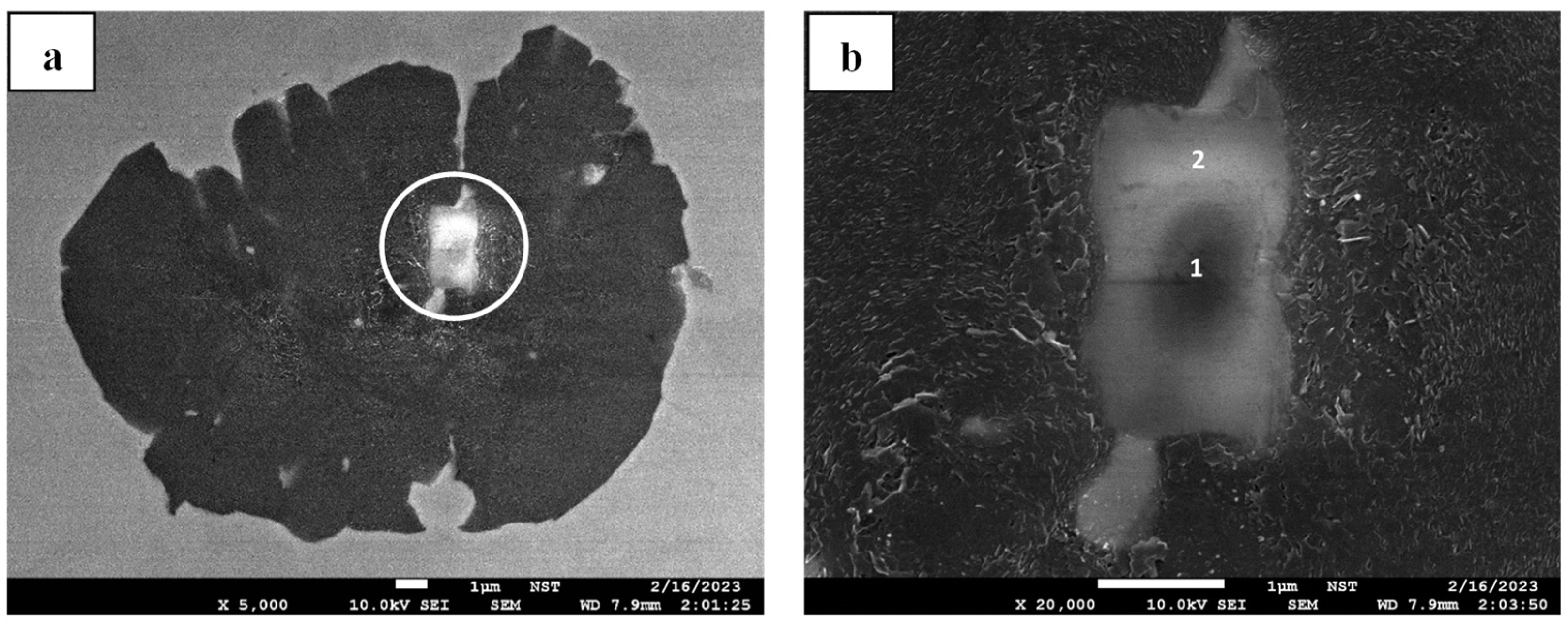 Crystals 15 00347 g012 Crystals 15 00347 g012
