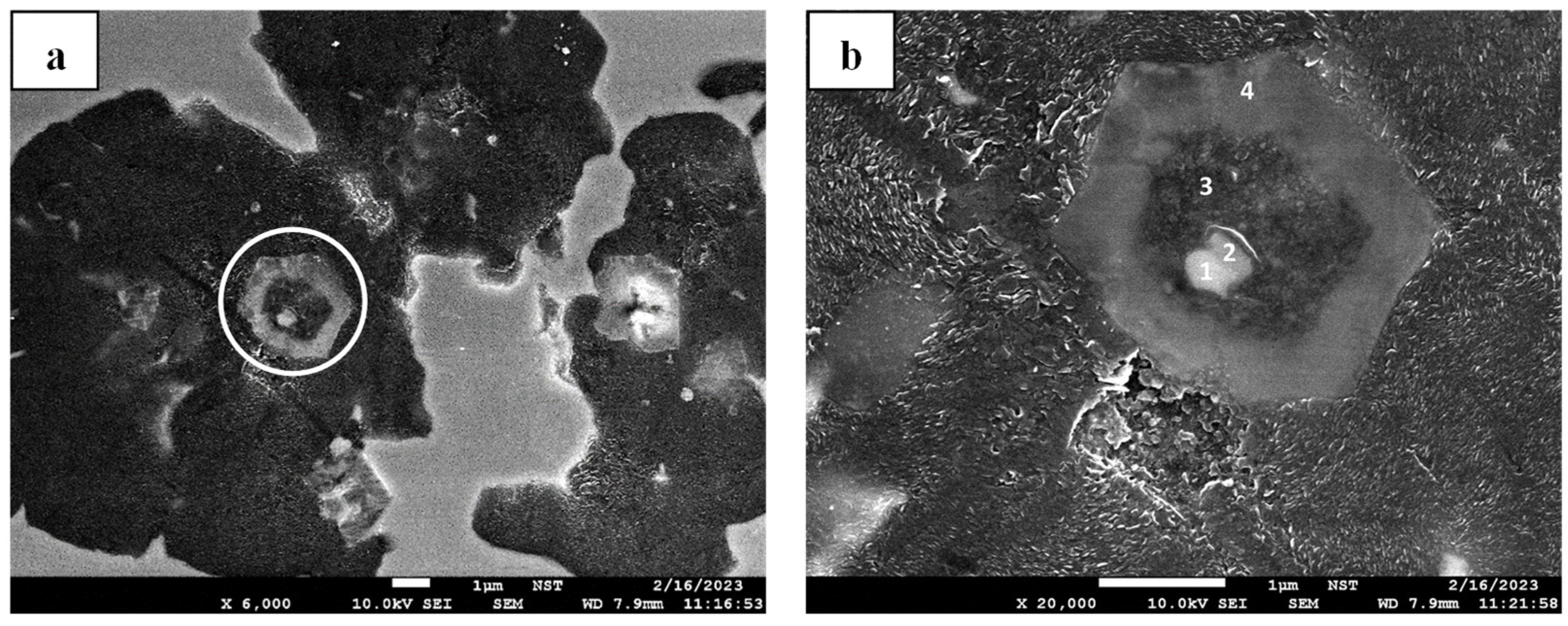 Crystals 15 00347 g013 Crystals 15 00347 g013
