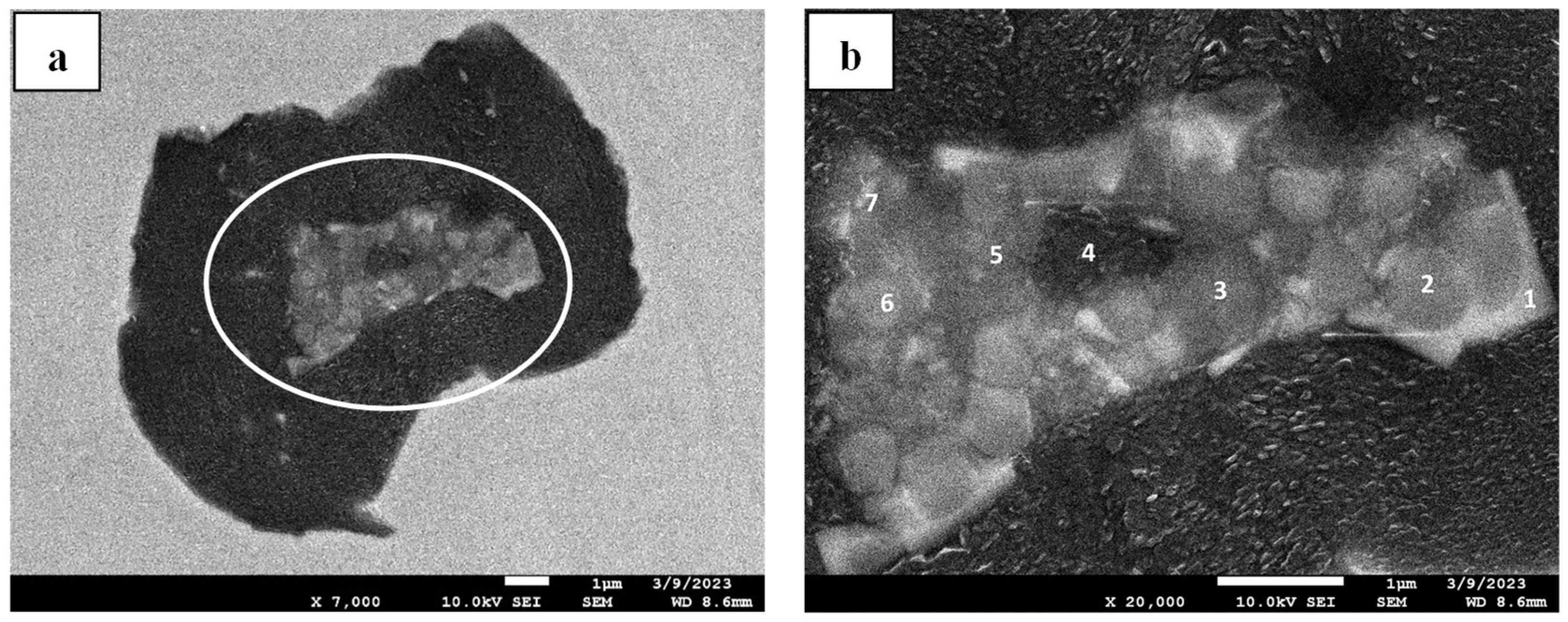 Crystals 15 00347 g014 Crystals 15 00347 g014