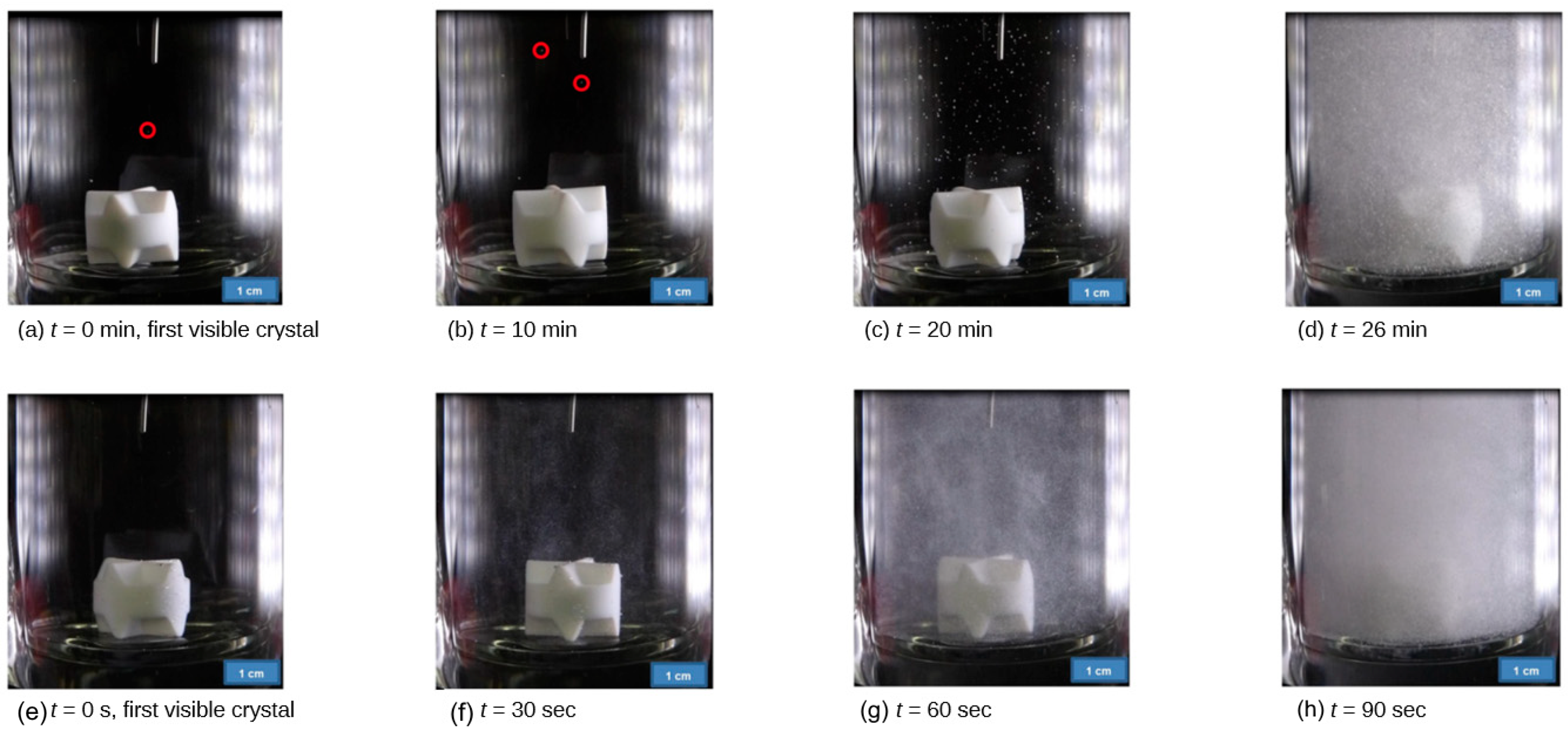 Crystals 15 00355 g008