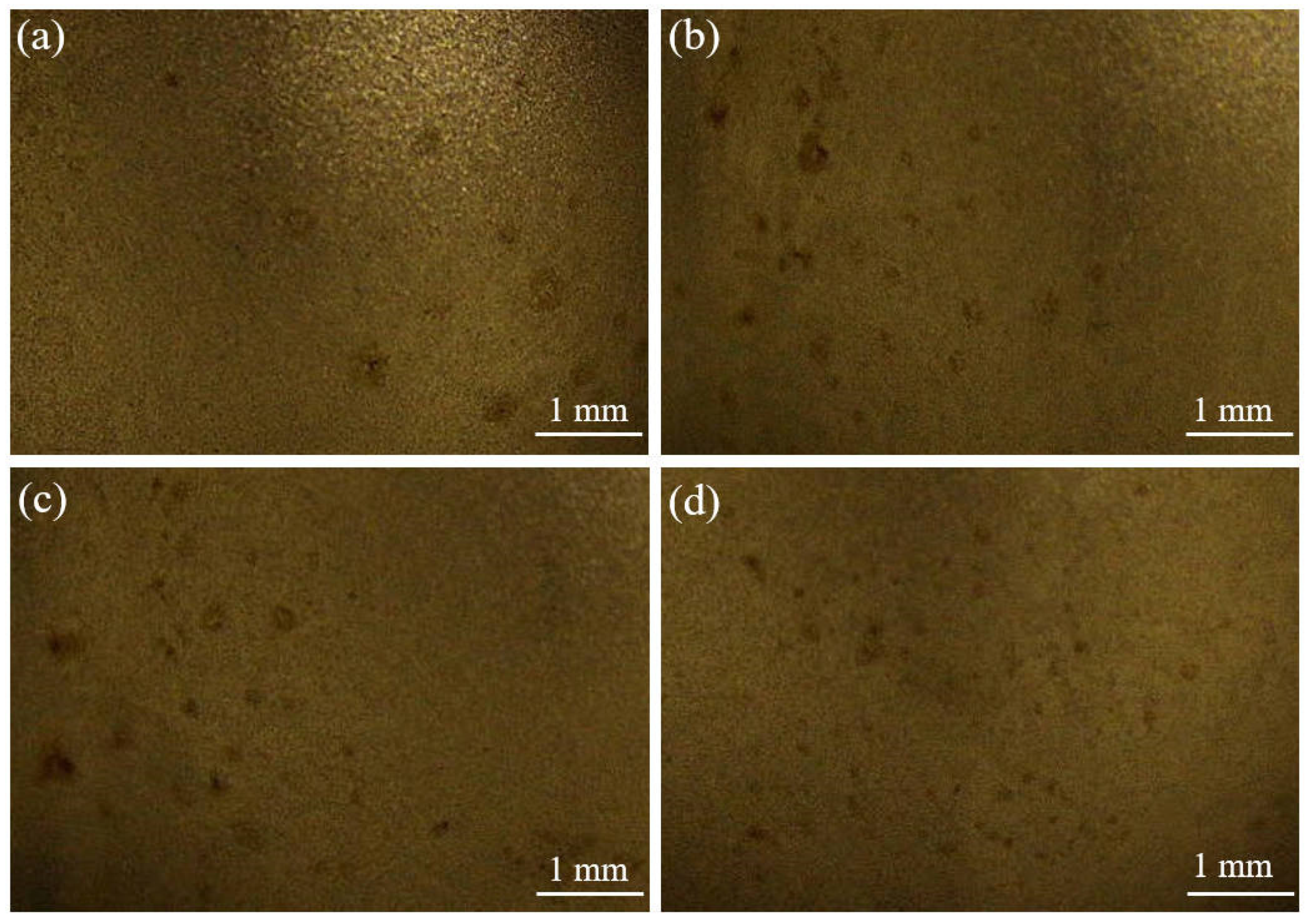 Crystals 15 00379 g013