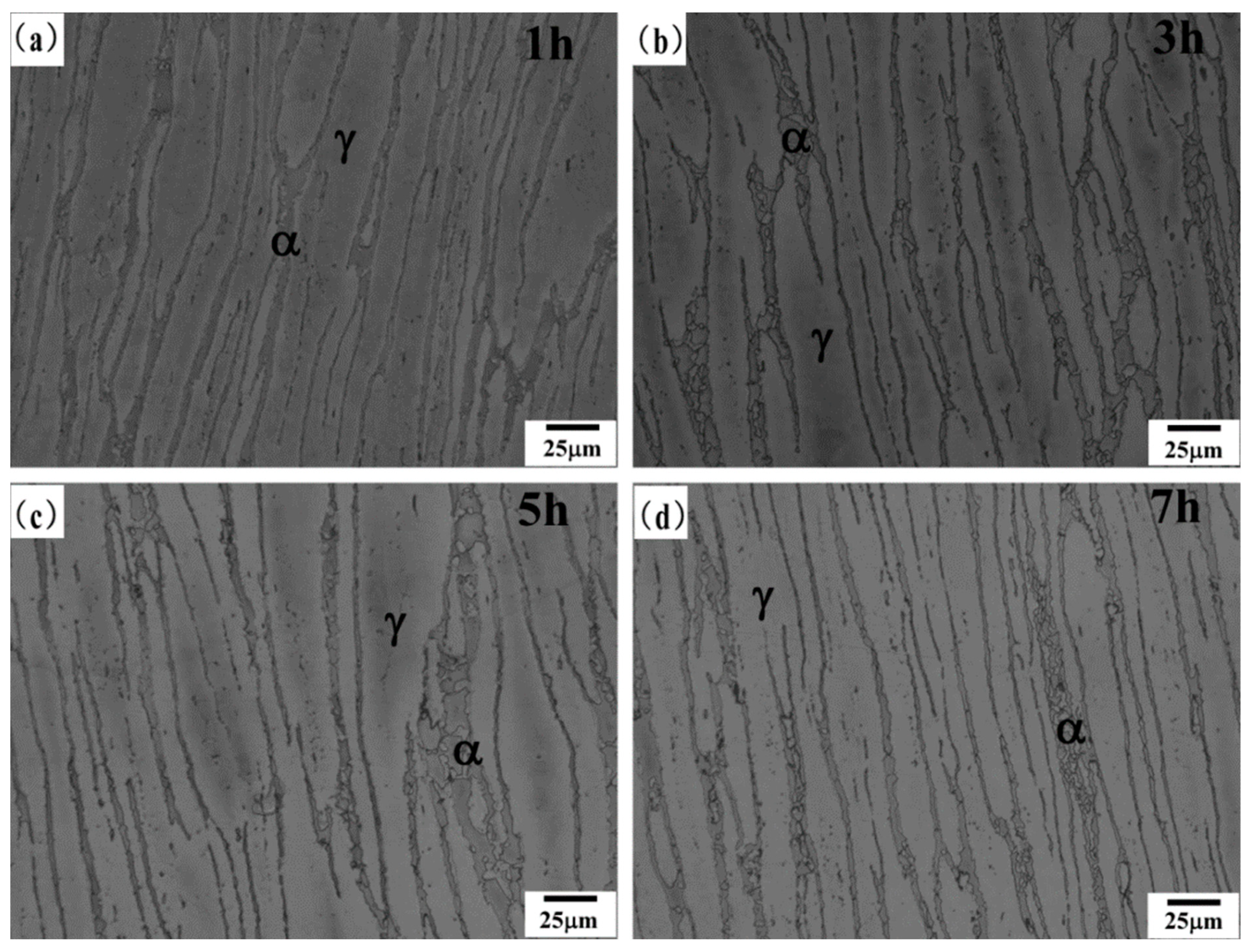 Crystals 15 00419 g002 Crystals 15 00419 g002