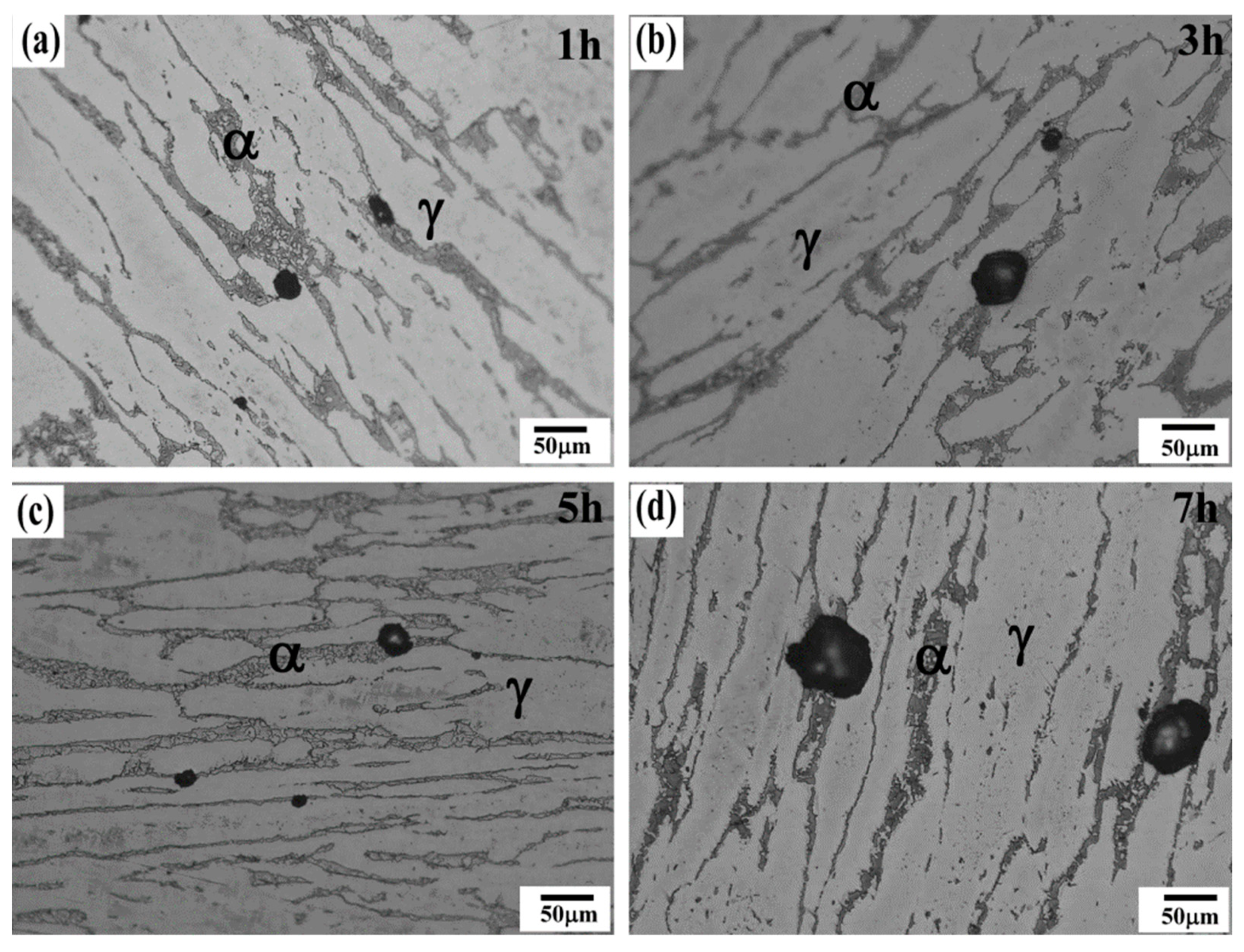 Crystals 15 00419 g008 Crystals 15 00419 g008