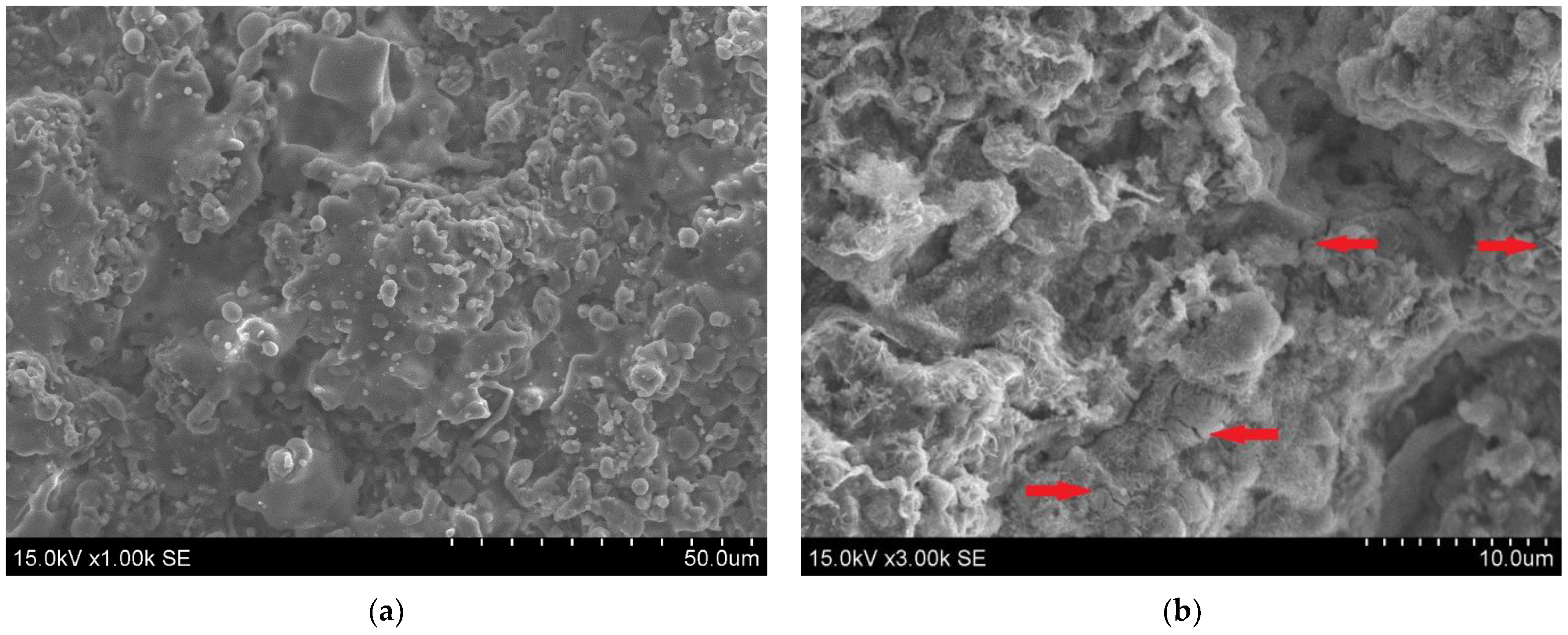 Crystals 15 00439 g006 Crystals 15 00439 g006