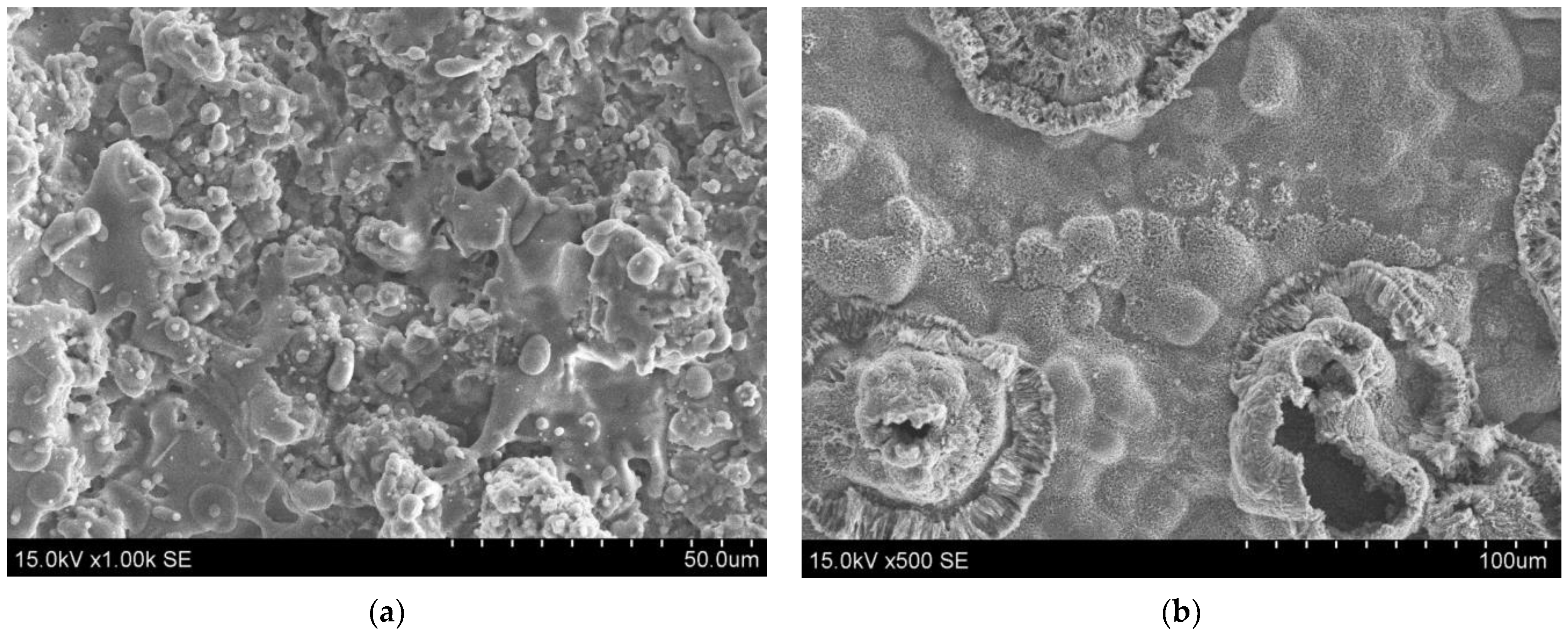 Crystals 15 00439 g007 Crystals 15 00439 g007