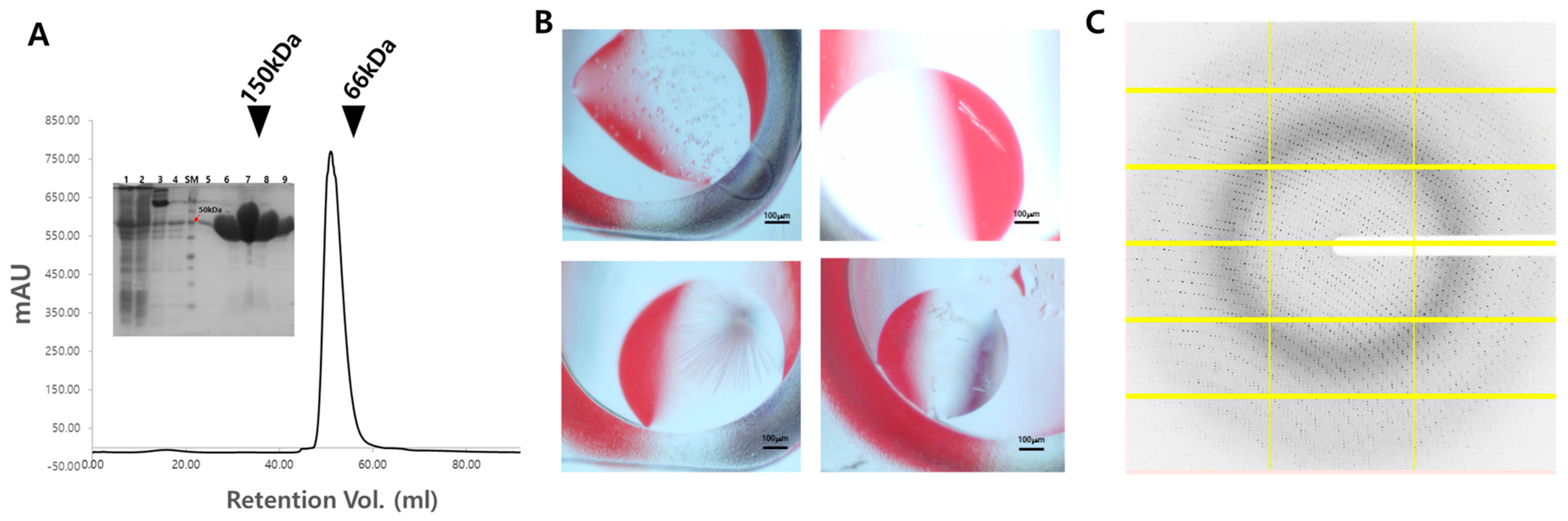 Crystals 15 00447 g002