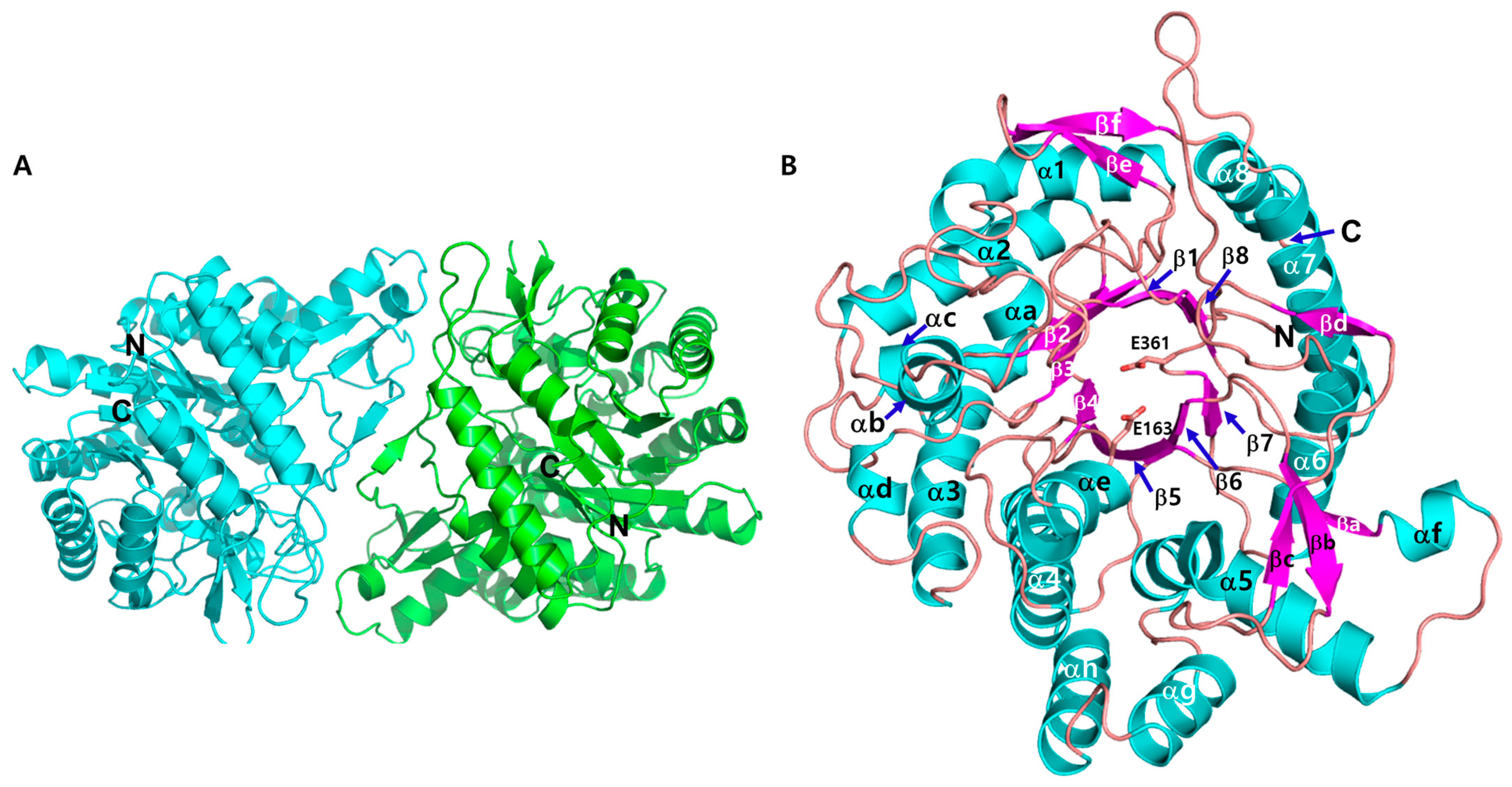Crystals 15 00447 g003
