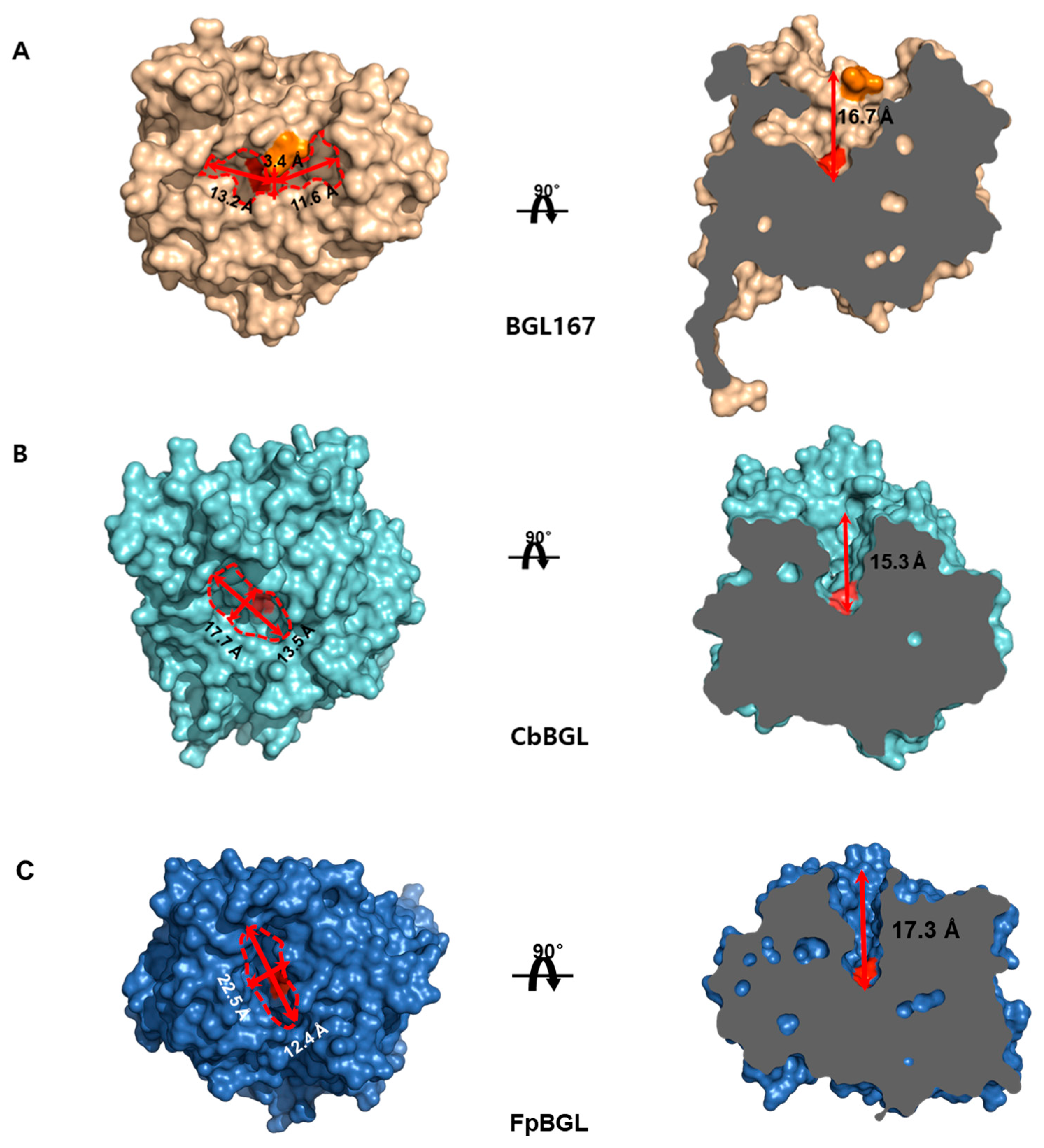 Crystals 15 00447 g007