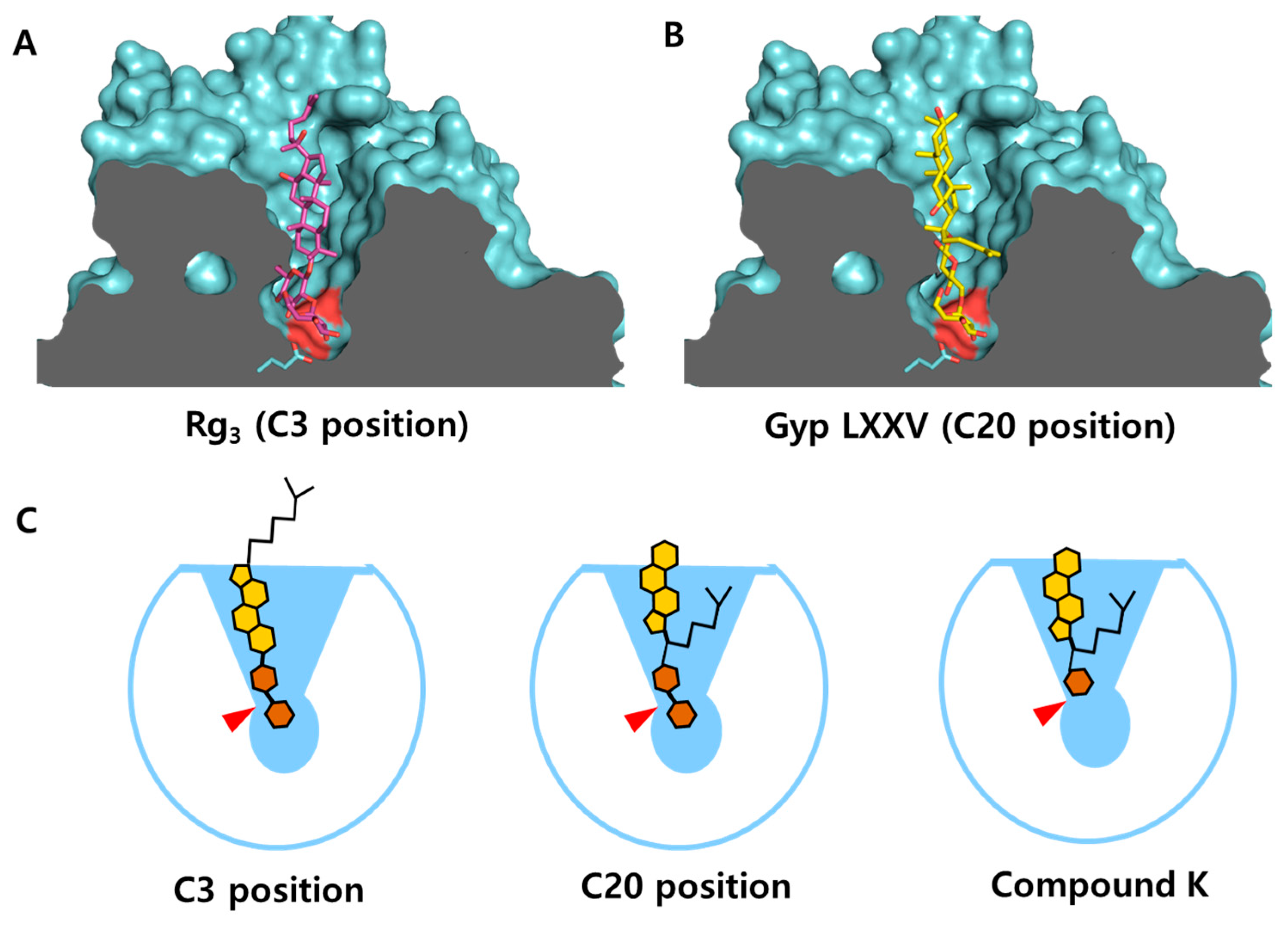 Crystals 15 00447 g008