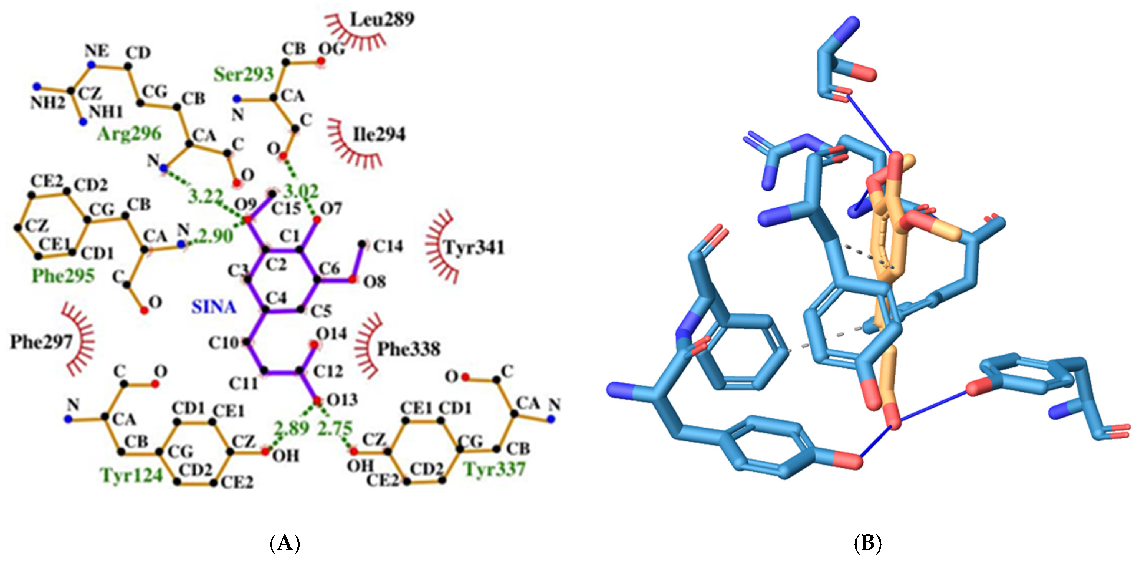 Crystals 15 00491 g006