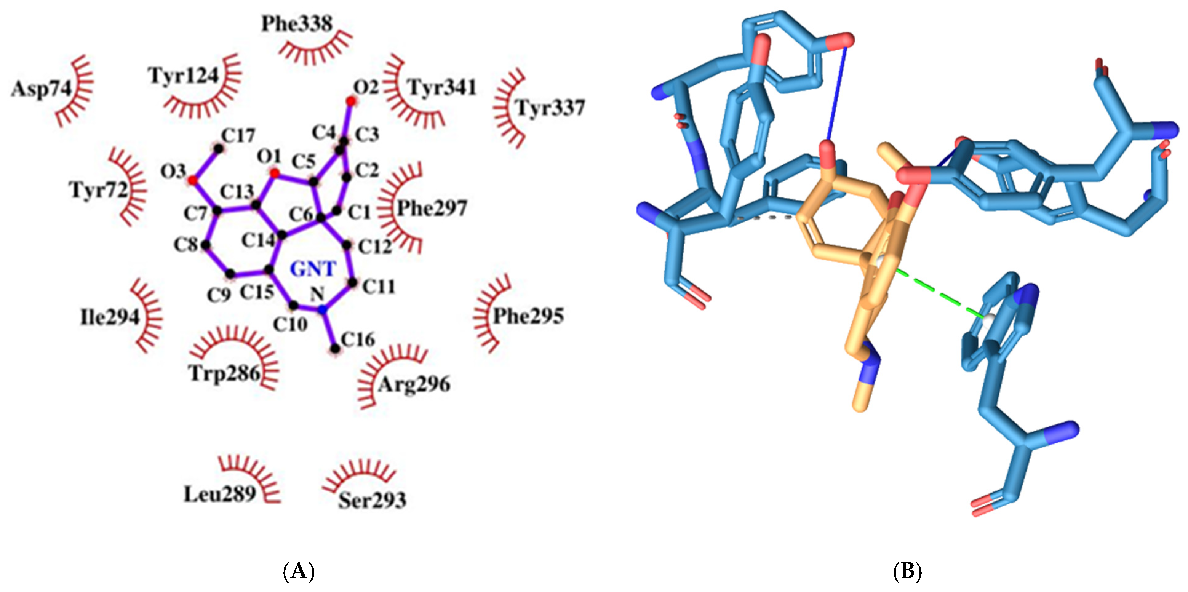 Crystals 15 00491 g008