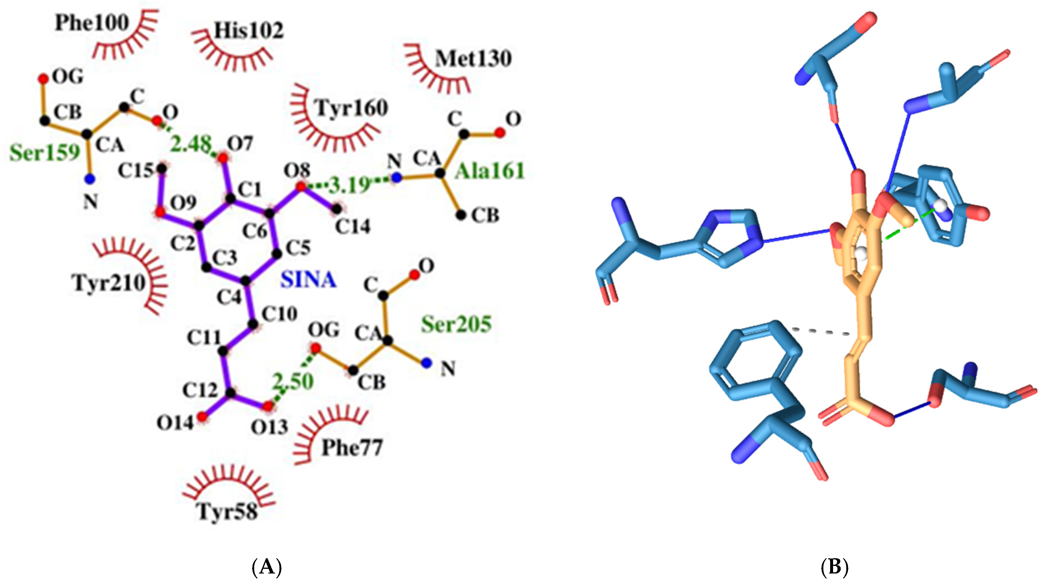 Crystals 15 00491 g012