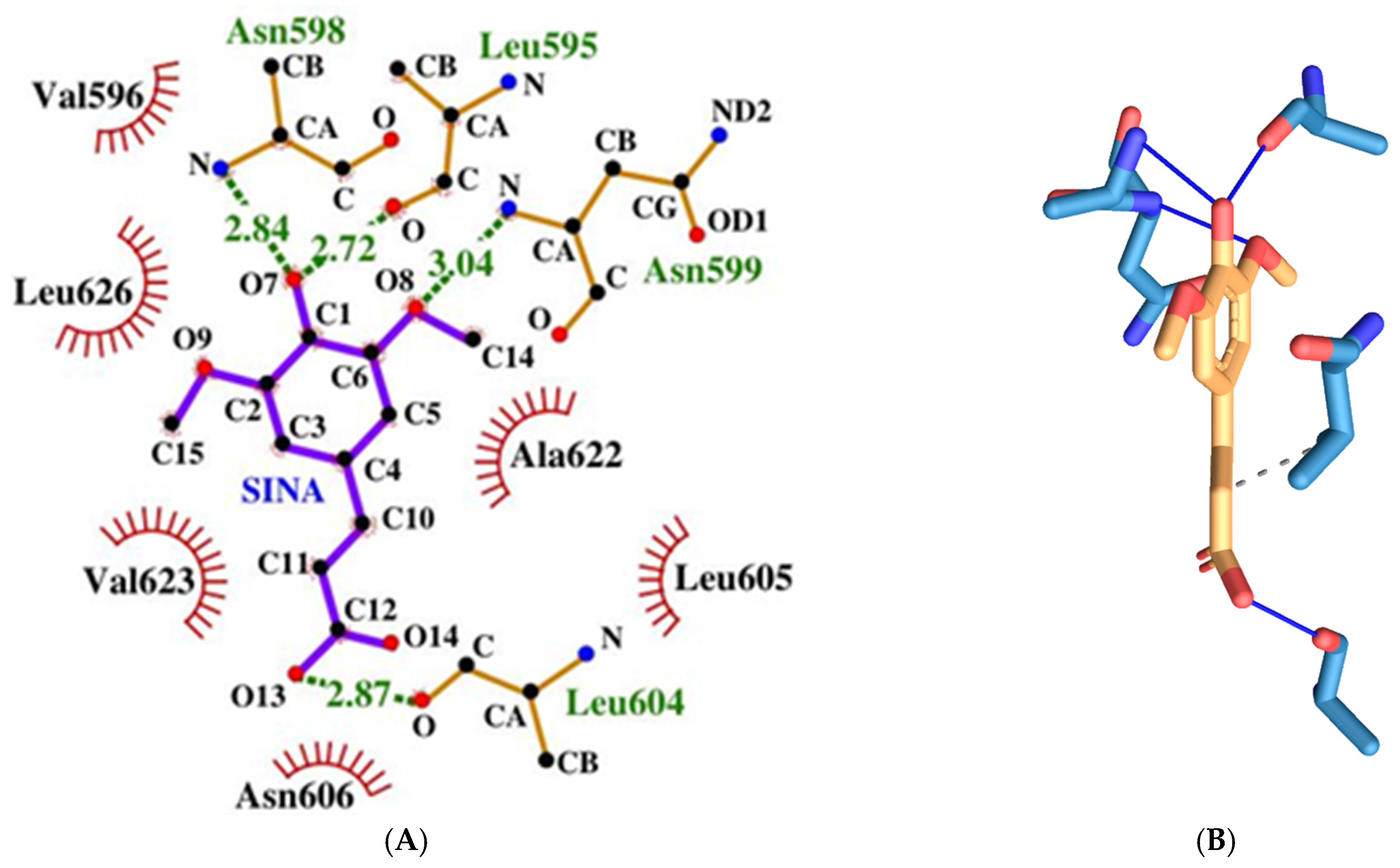 Crystals 15 00491 g016