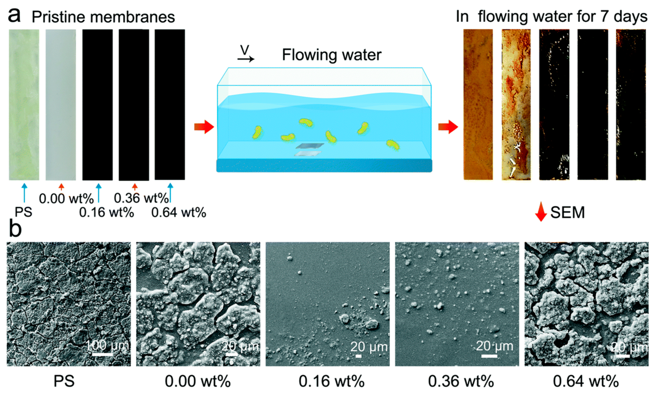 Crystals 15 00541 g012