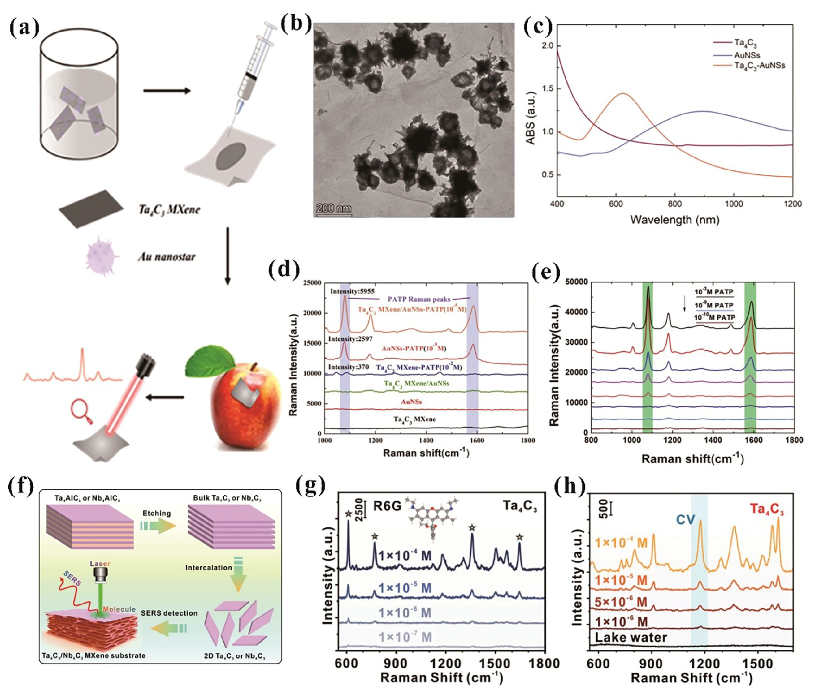 Crystals 15 00558 g008