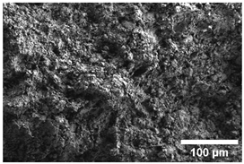 Crystals 15 00592 i001