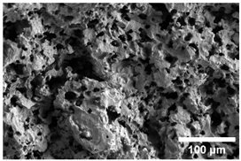 Crystals 15 00592 i002