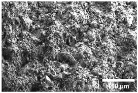 Crystals 15 00592 i005