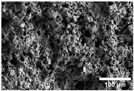 Crystals 15 00592 i006