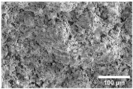 Crystals 15 00592 i008