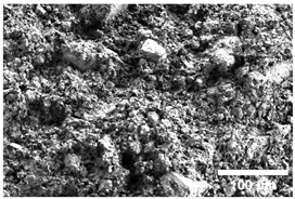 Crystals 15 00592 i009