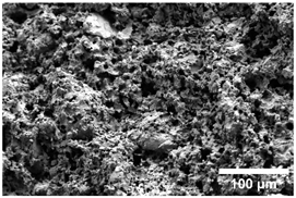 Crystals 15 00592 i010