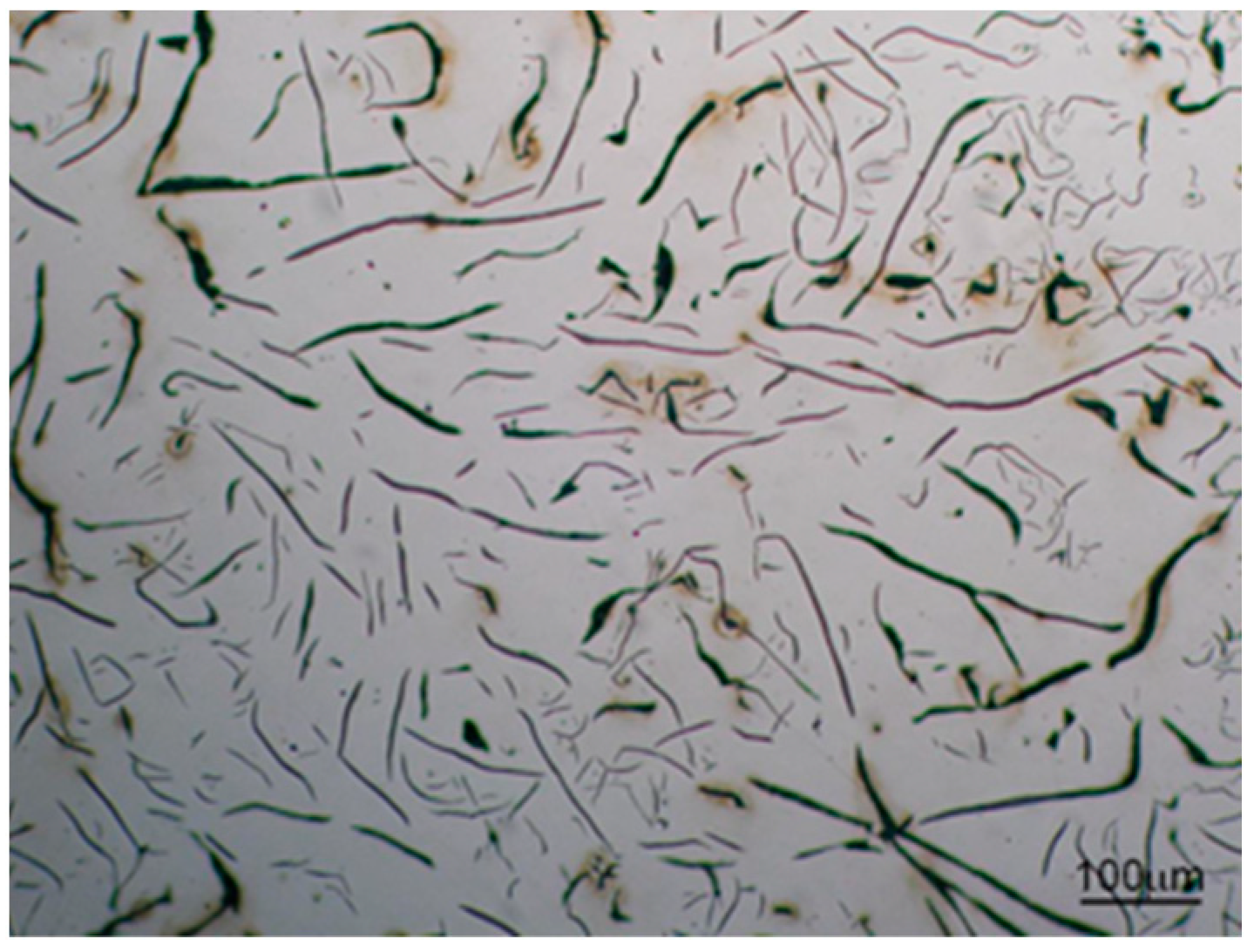 Properties of Cast Iron Produced with a Limited Share of Pig Iron in ...