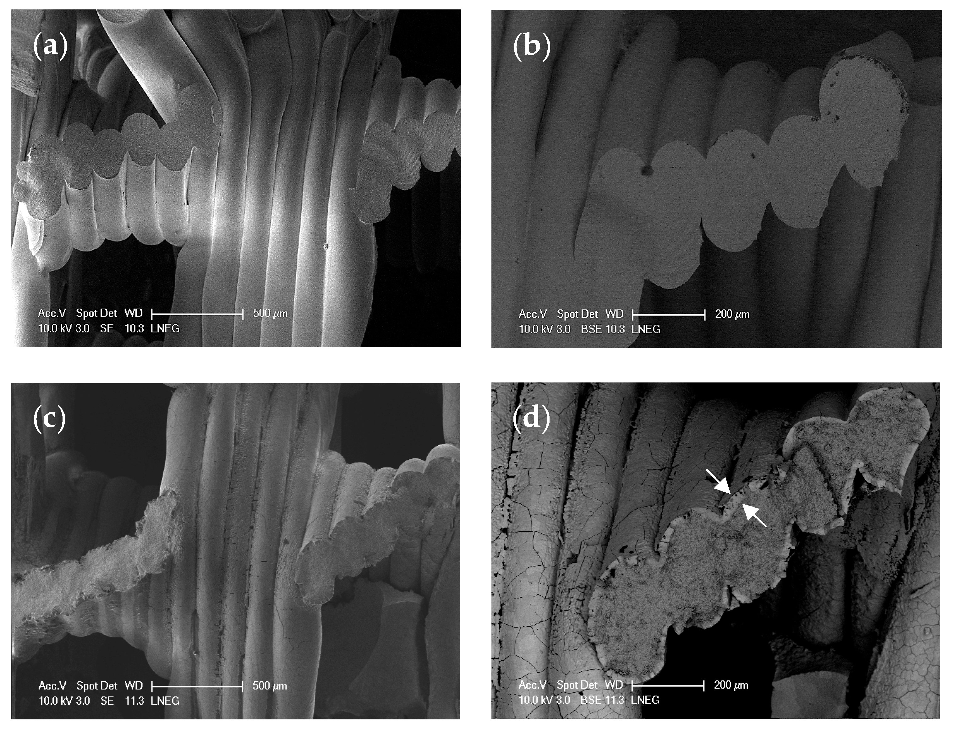 Crystals 15 00629 g007 Crystals 15 00629 g007