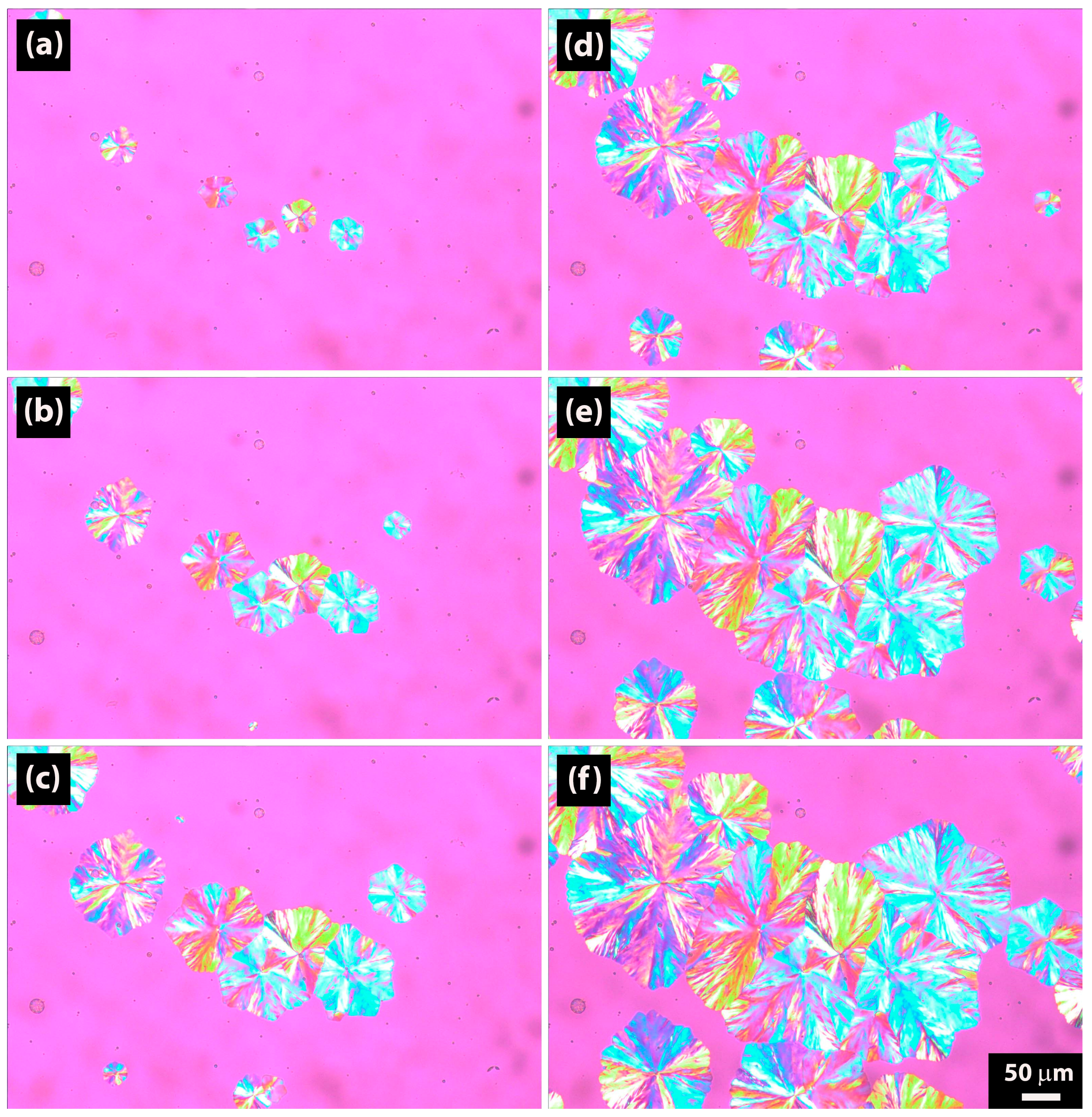 Crystals 15 00645 g010 Crystals 15 00645 g010