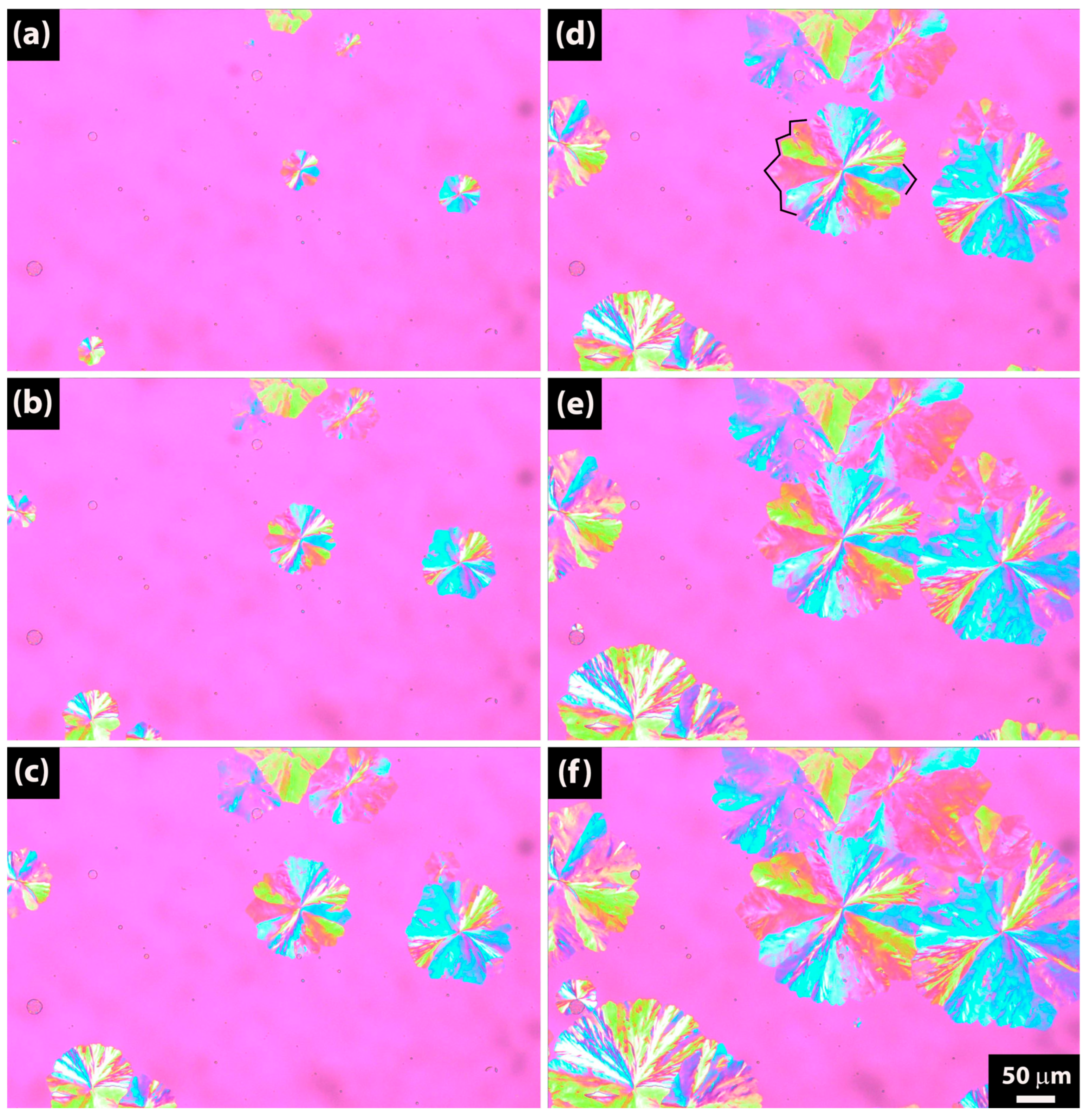 Crystals 15 00645 g013 Crystals 15 00645 g013