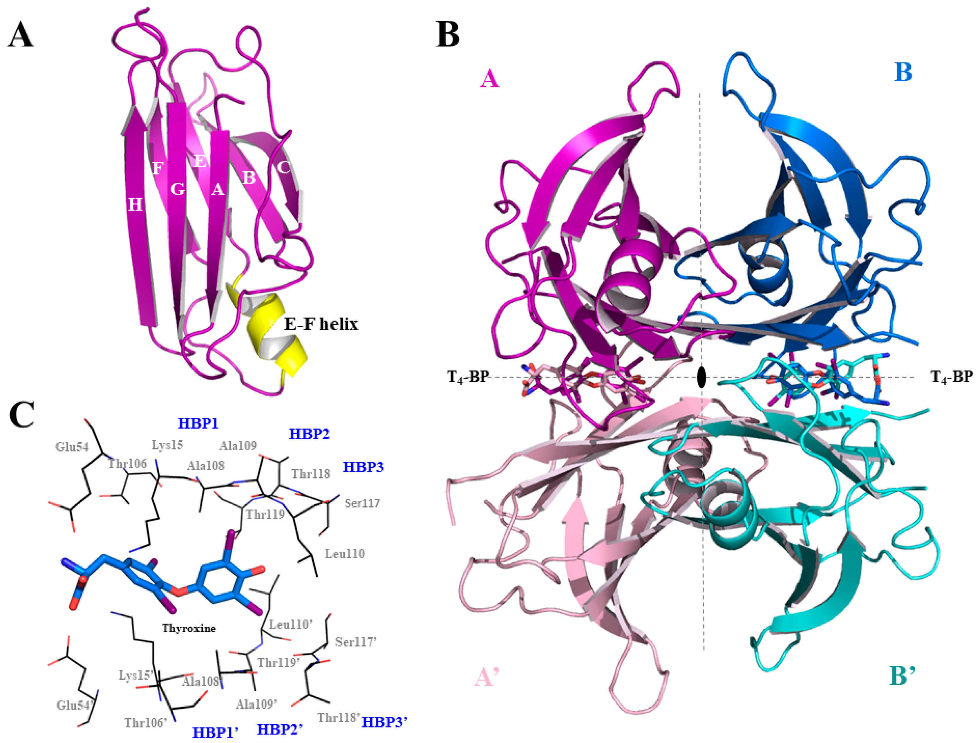 Crystals 15 00696 g001