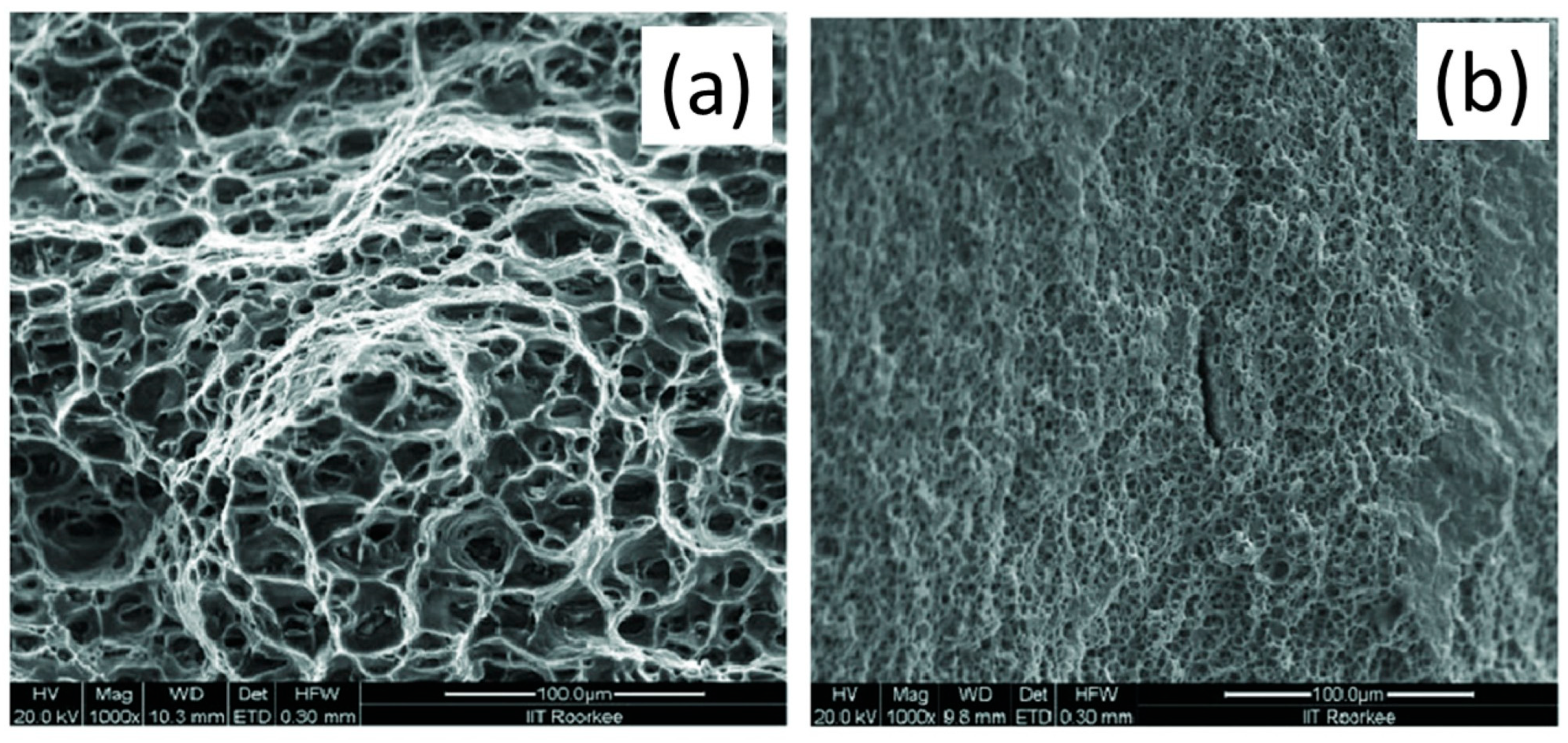 Crystals 15 00755 g015